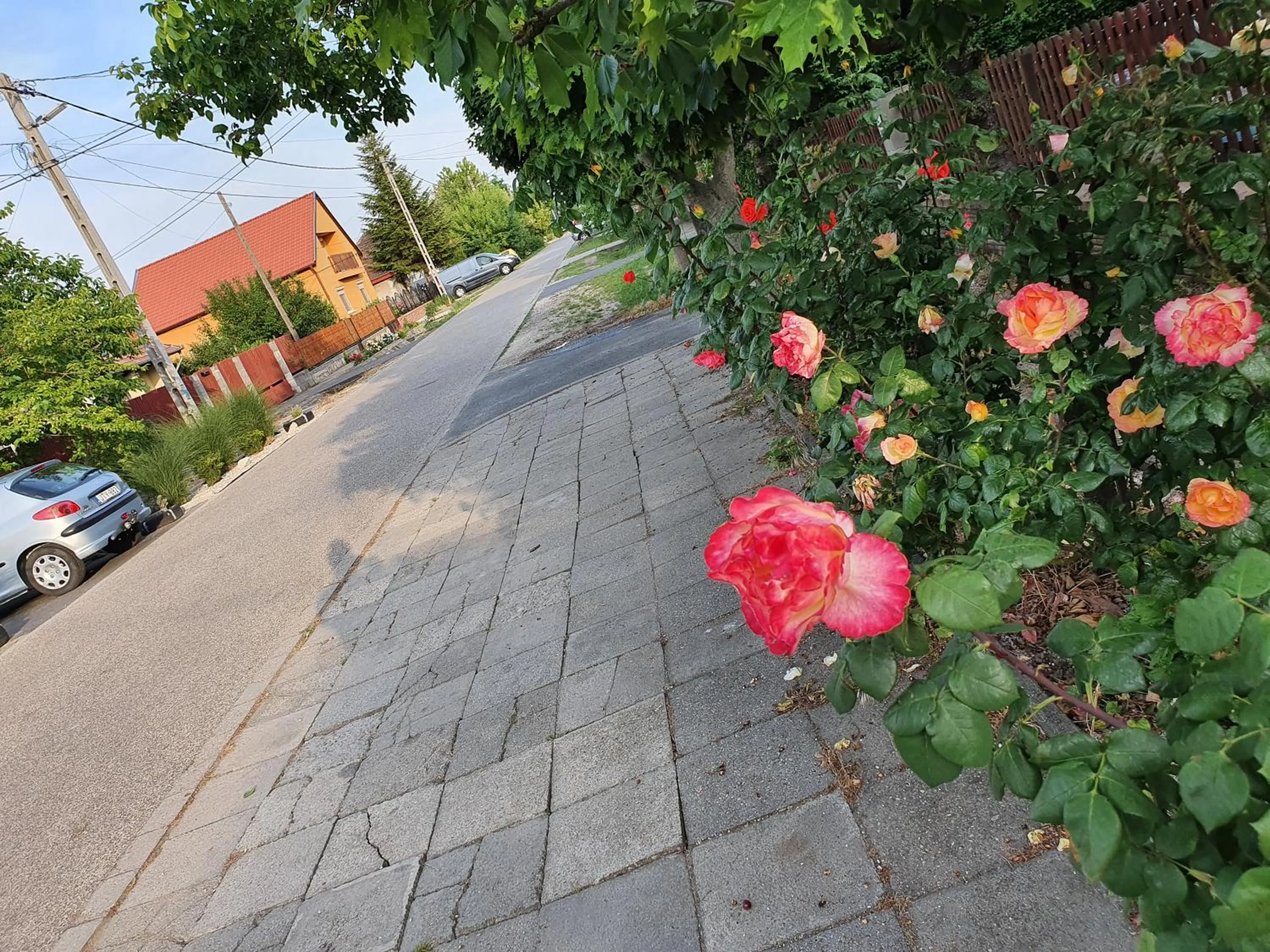 Street view in Airport Luxury Apartman 42