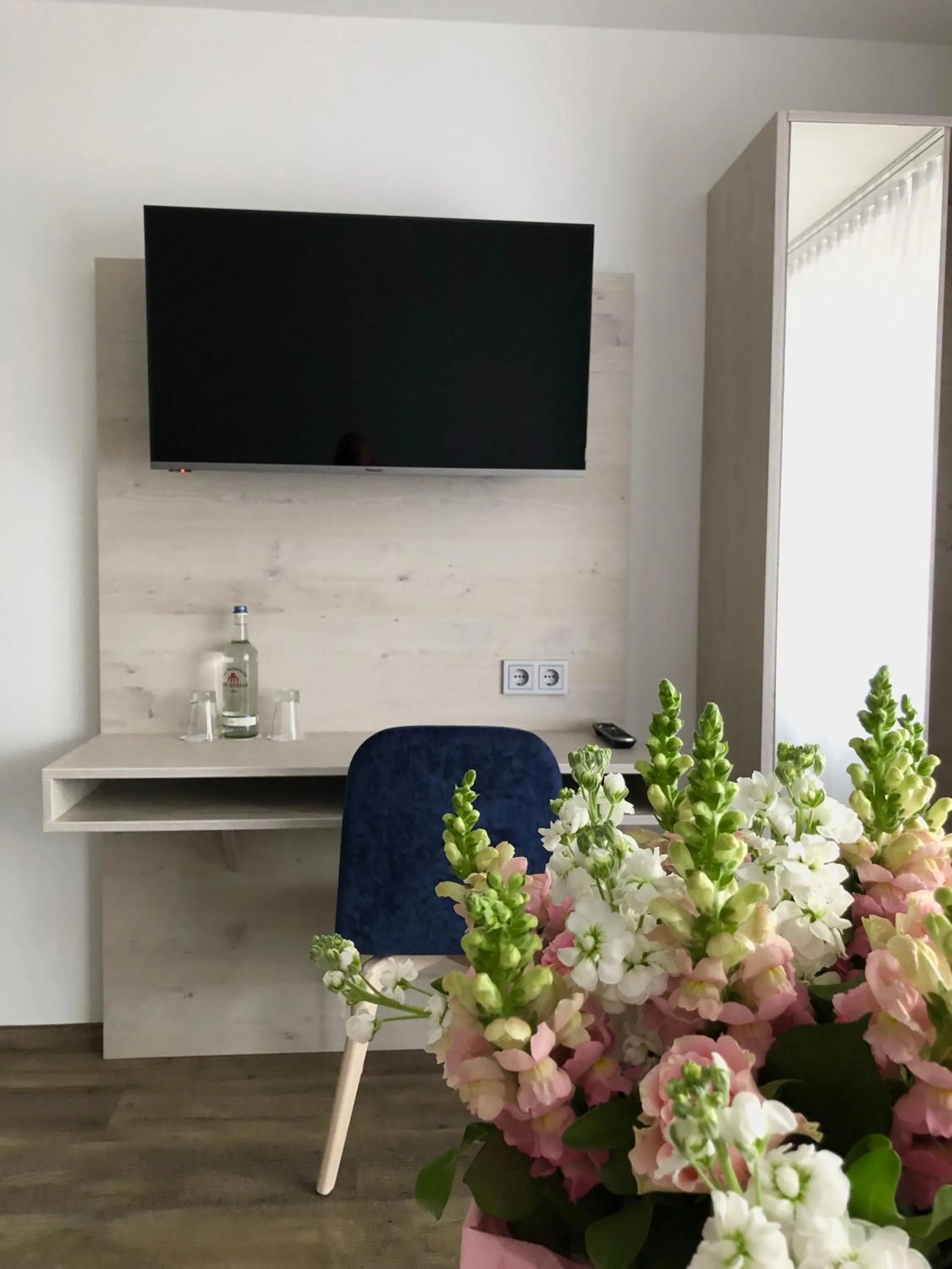 TV and multimedia in Hotel Kranenborgh Steinhude am Meer