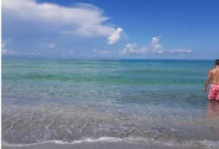 The Monterey Beach Resort