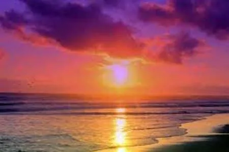 Beach in The Monterey Beach Resort