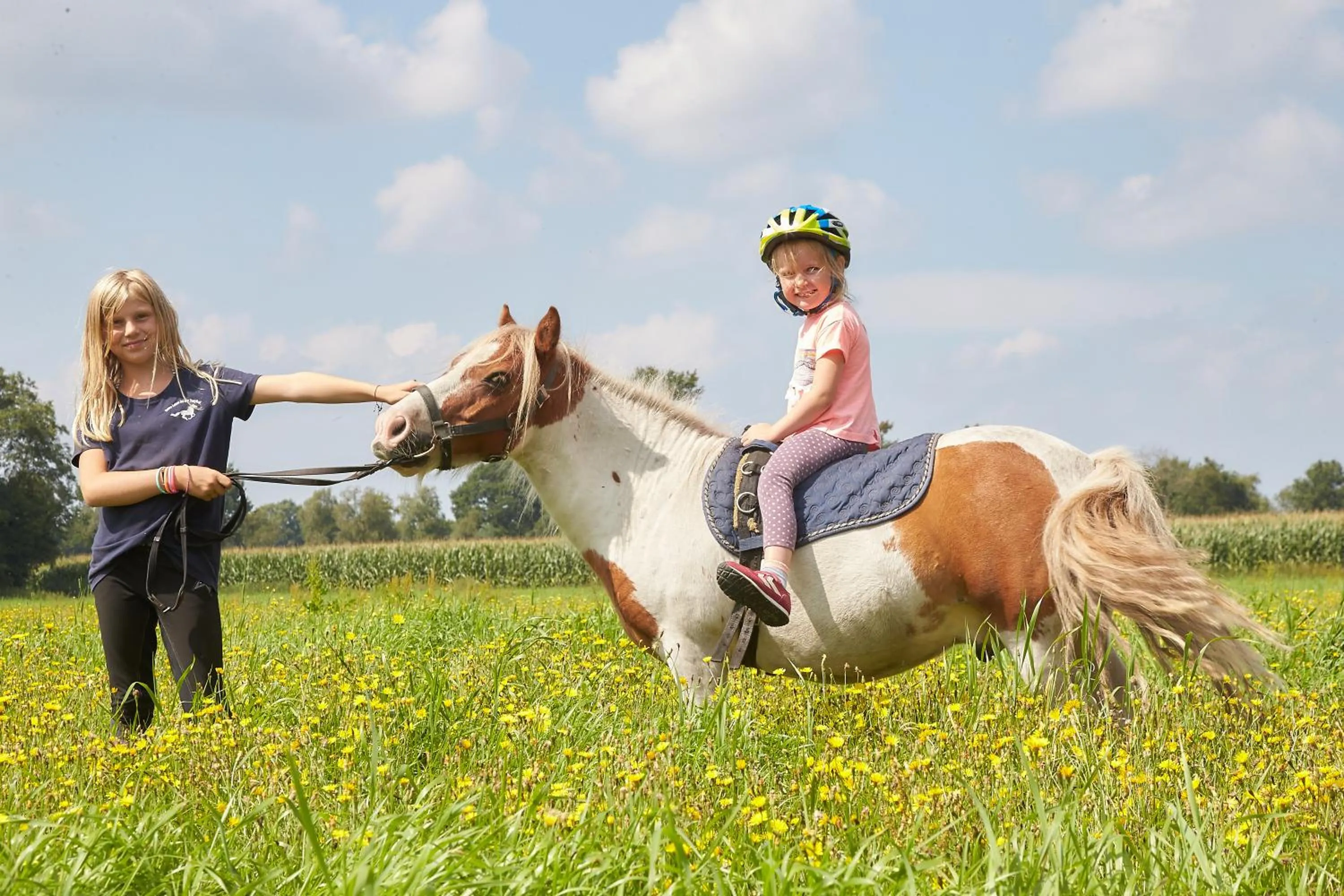 Horse-riding in Flairhotel Hubertus