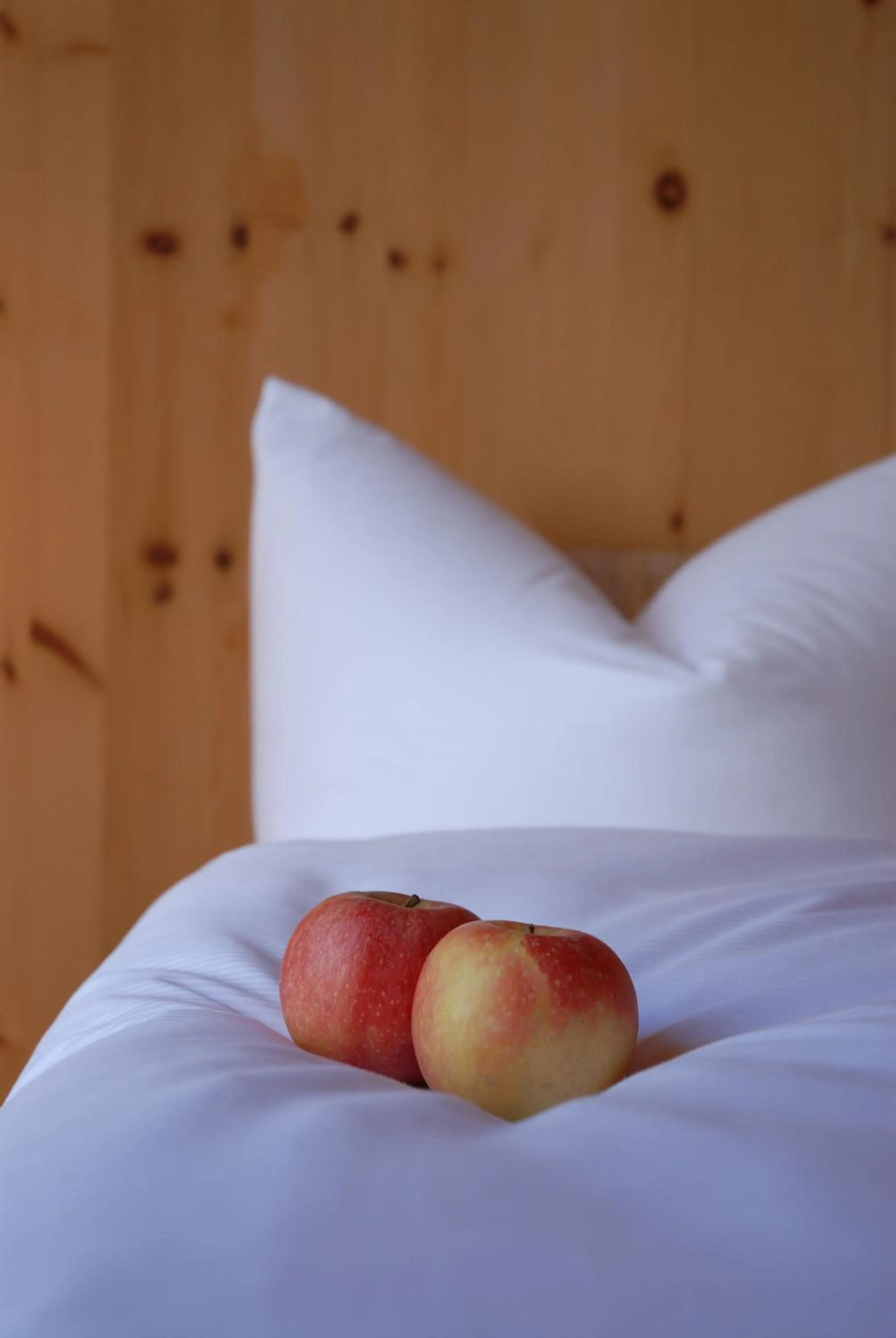 Bed in Hörger Biohotel und Tafernwirtschaft