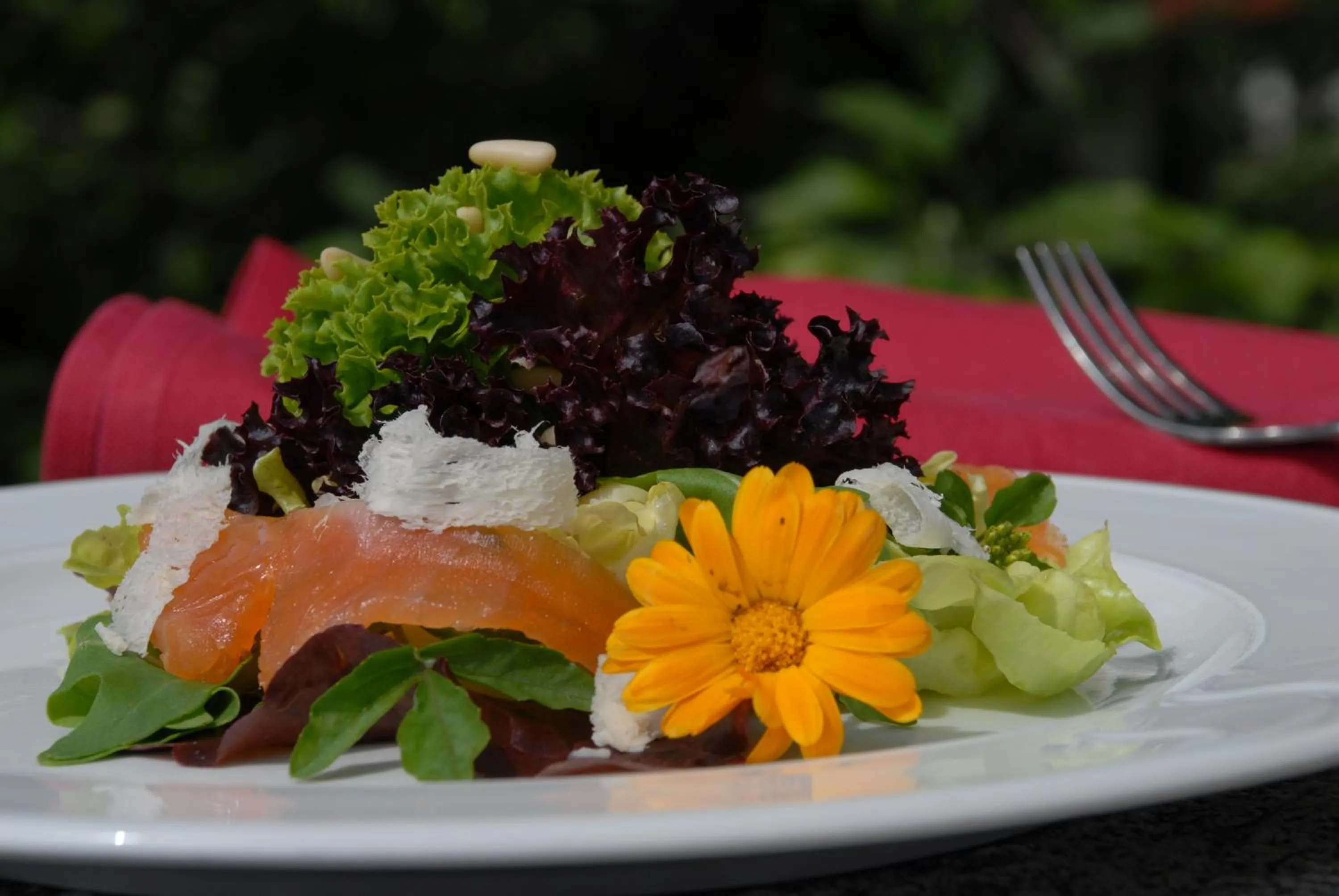 Food in Hörger Biohotel und Tafernwirtschaft