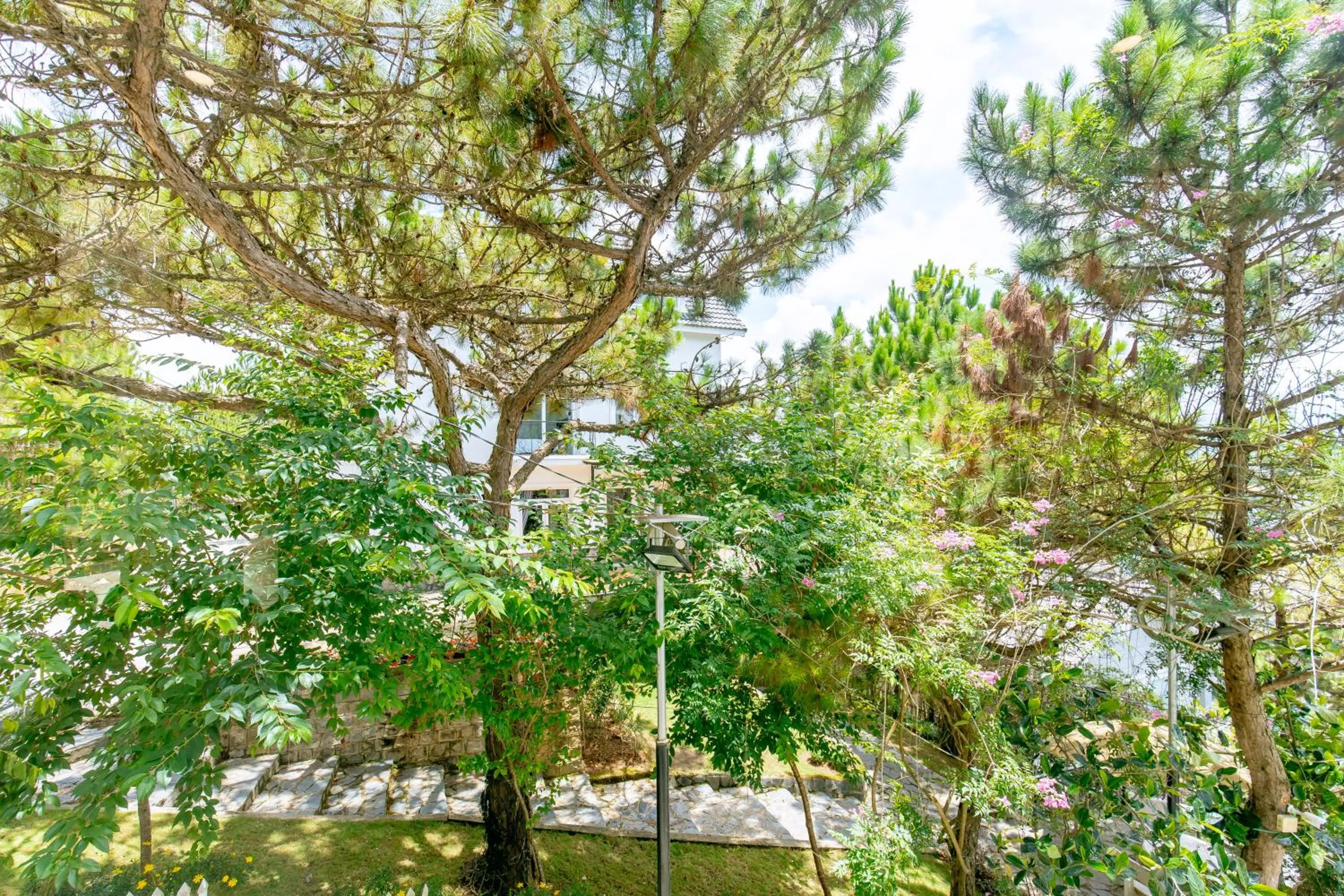 Day in Dallas Hotel Dalat