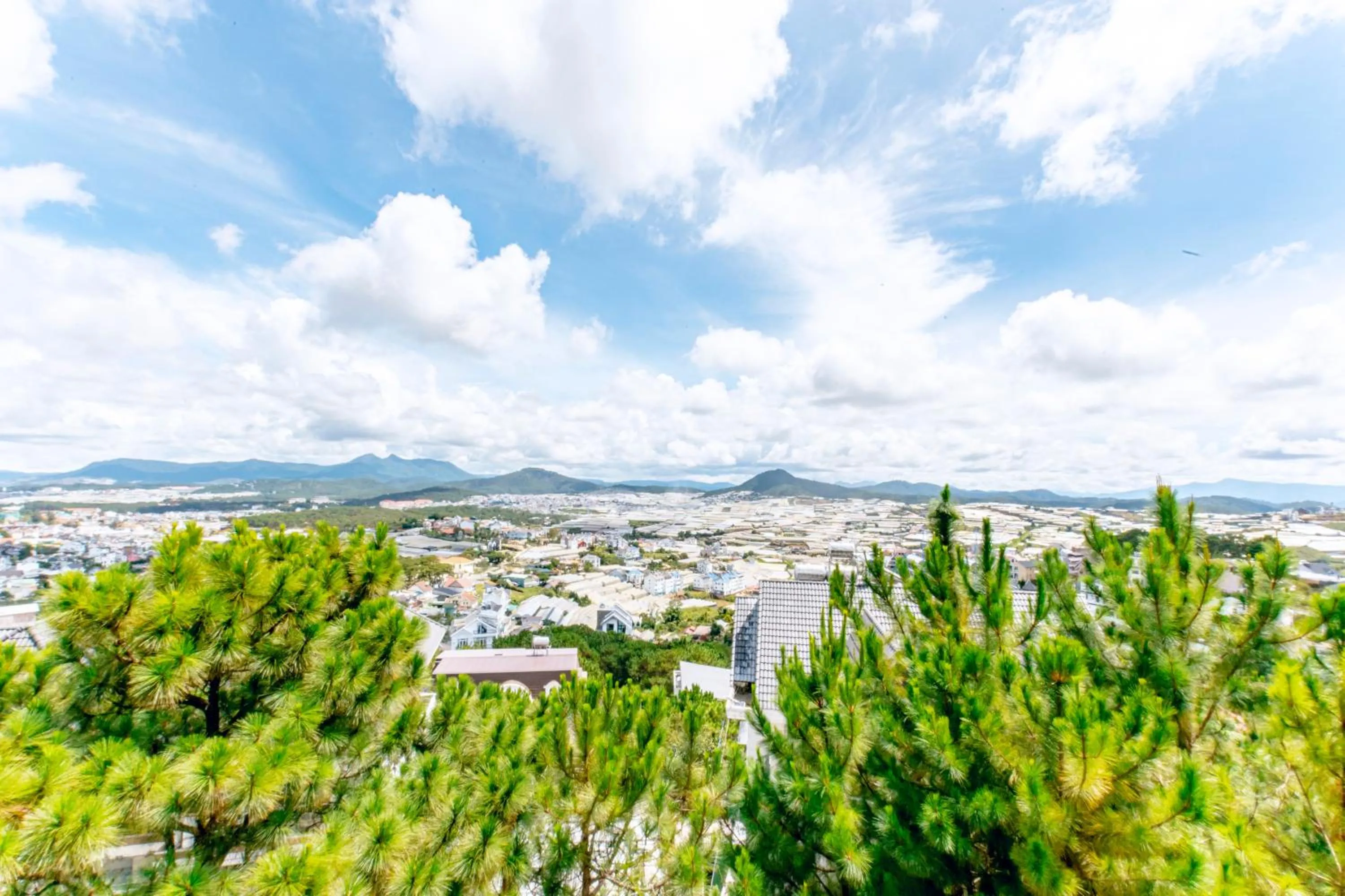 Day in Dallas Hotel Dalat