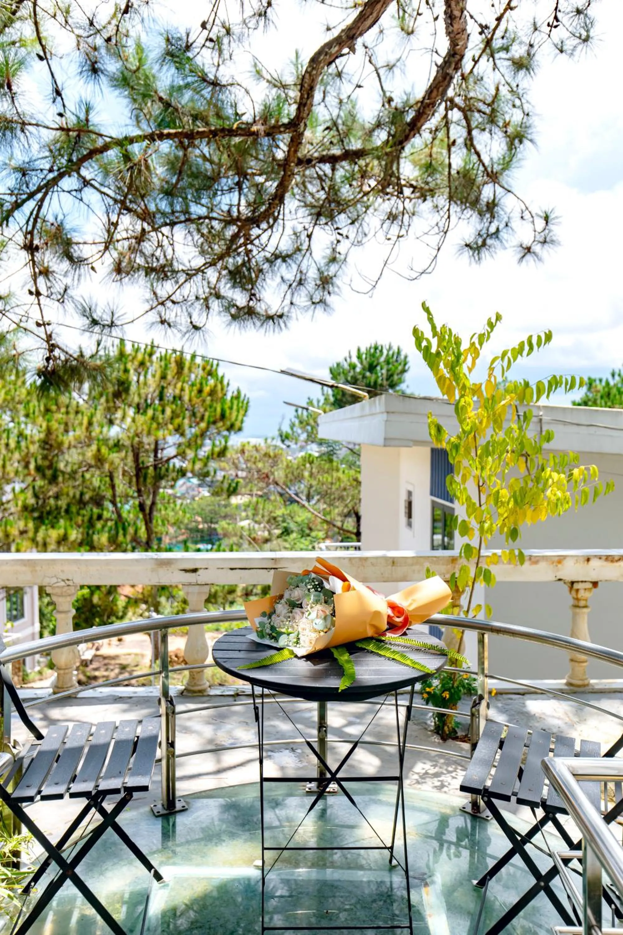 View (from property/room) in Dallas Hotel Dalat