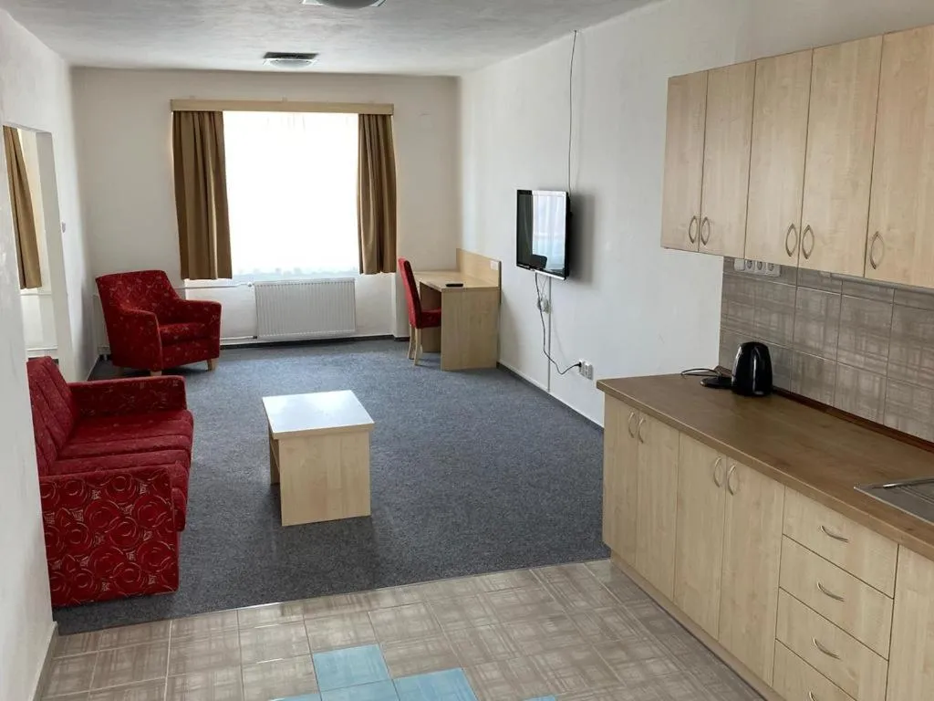 Kitchen or kitchenette in Městský hotel Bobík