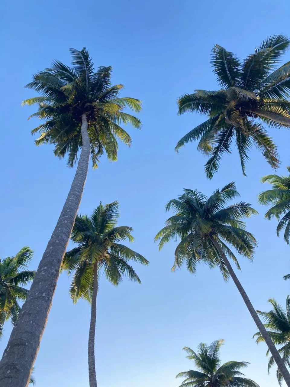 View (from property/room) in Purnima Resort Neil Island