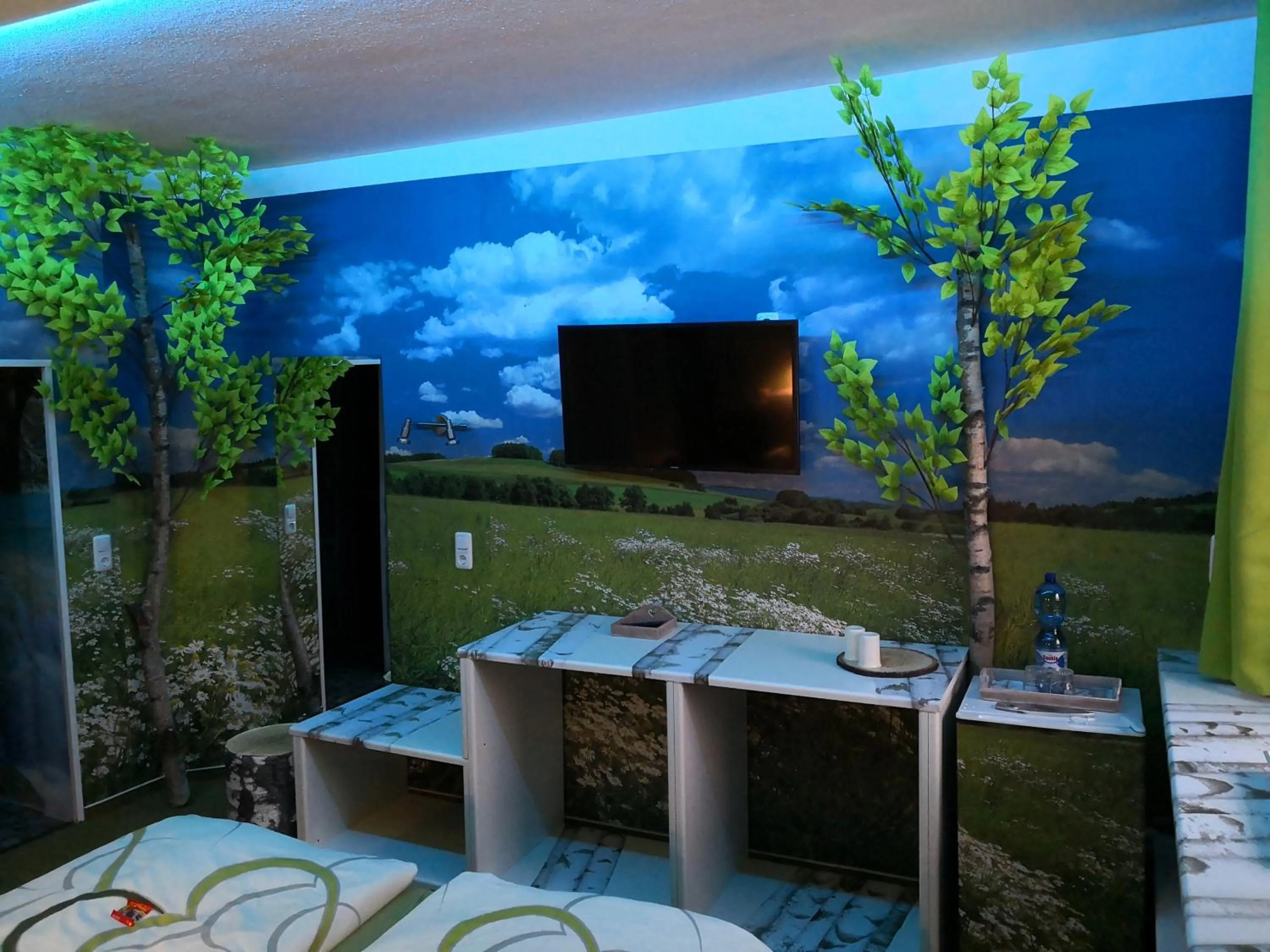 TV and multimedia in Waldgasthaus am Schwarzenbruch