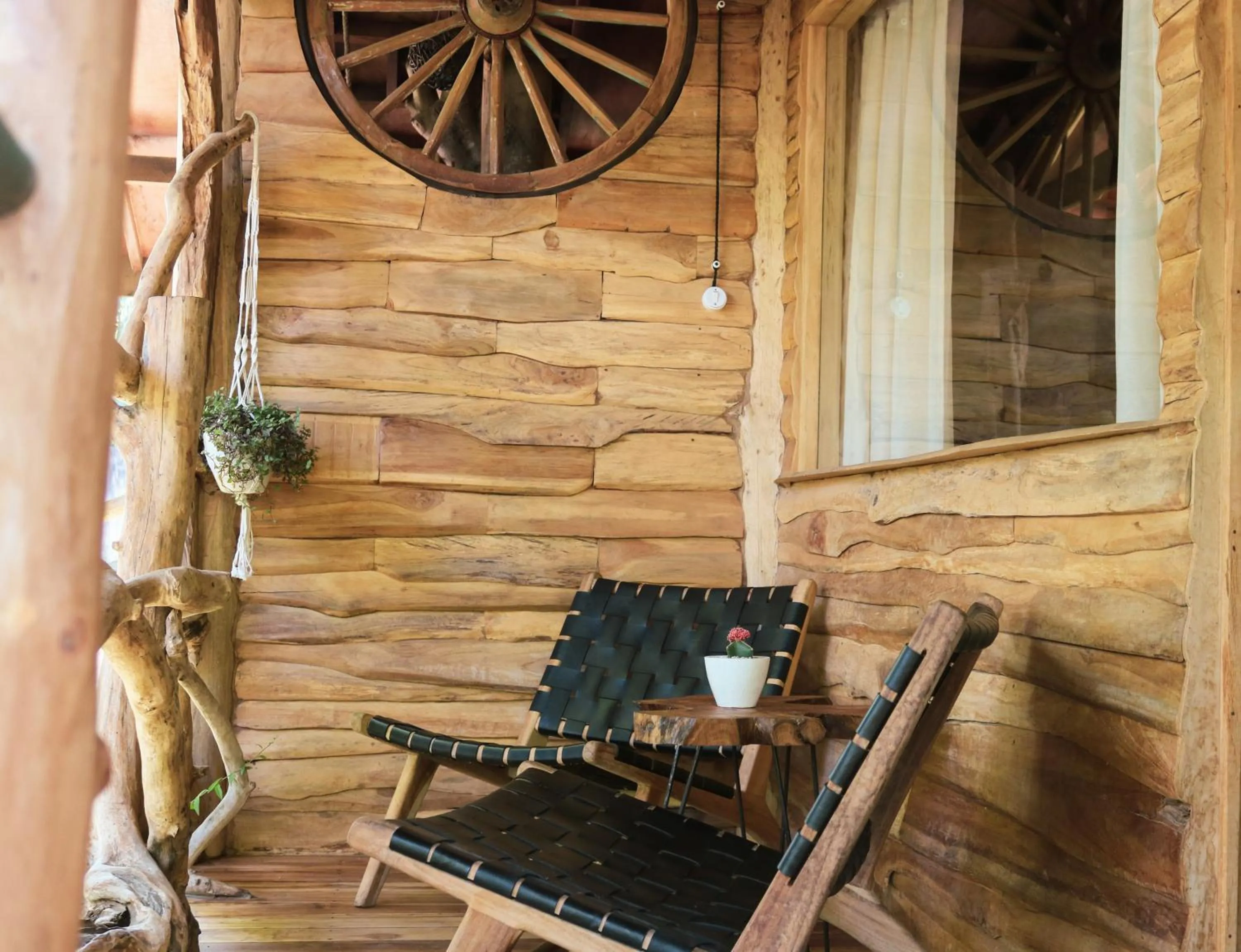 Balcony/Terrace in Roots Tree House