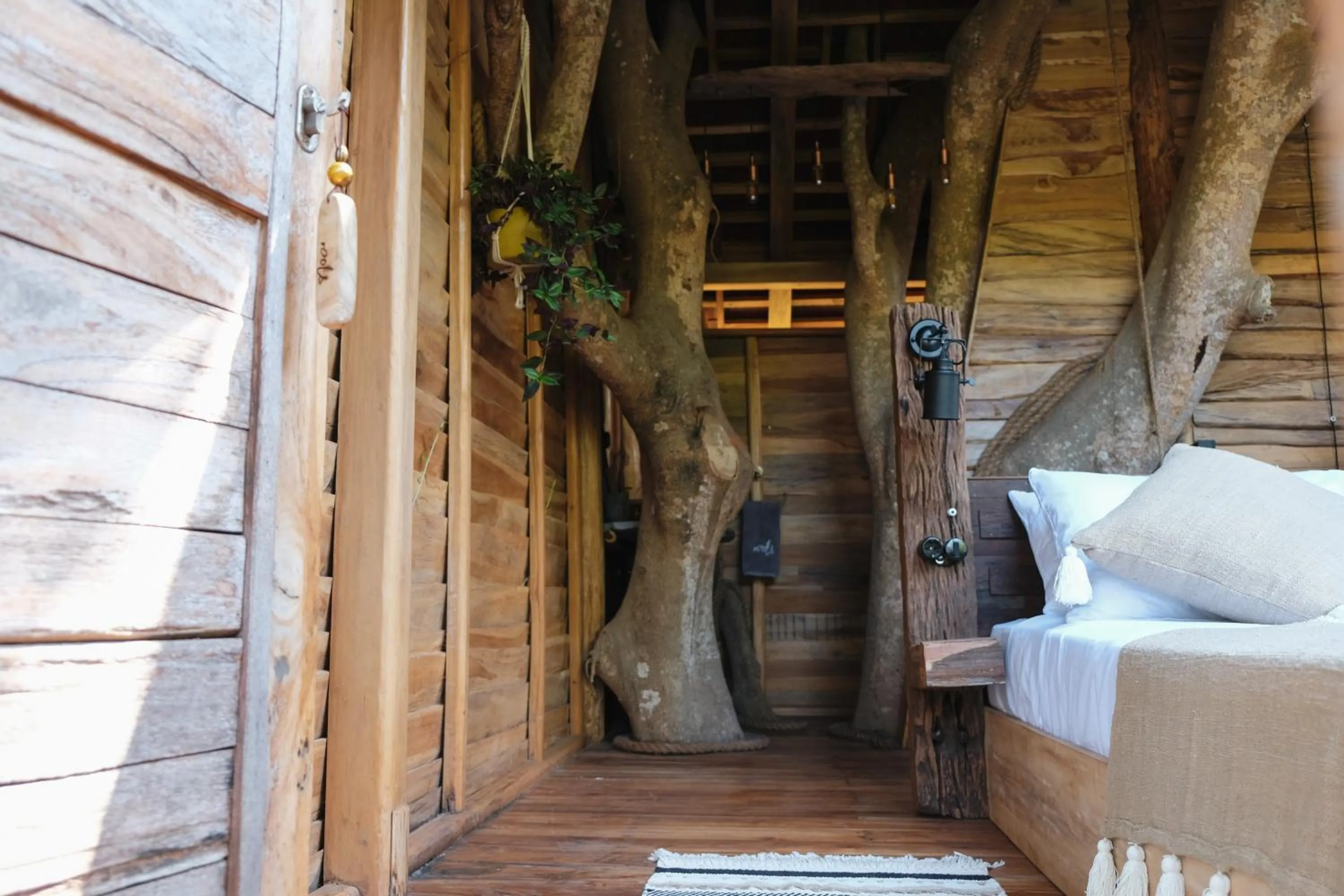 Roots Tree House