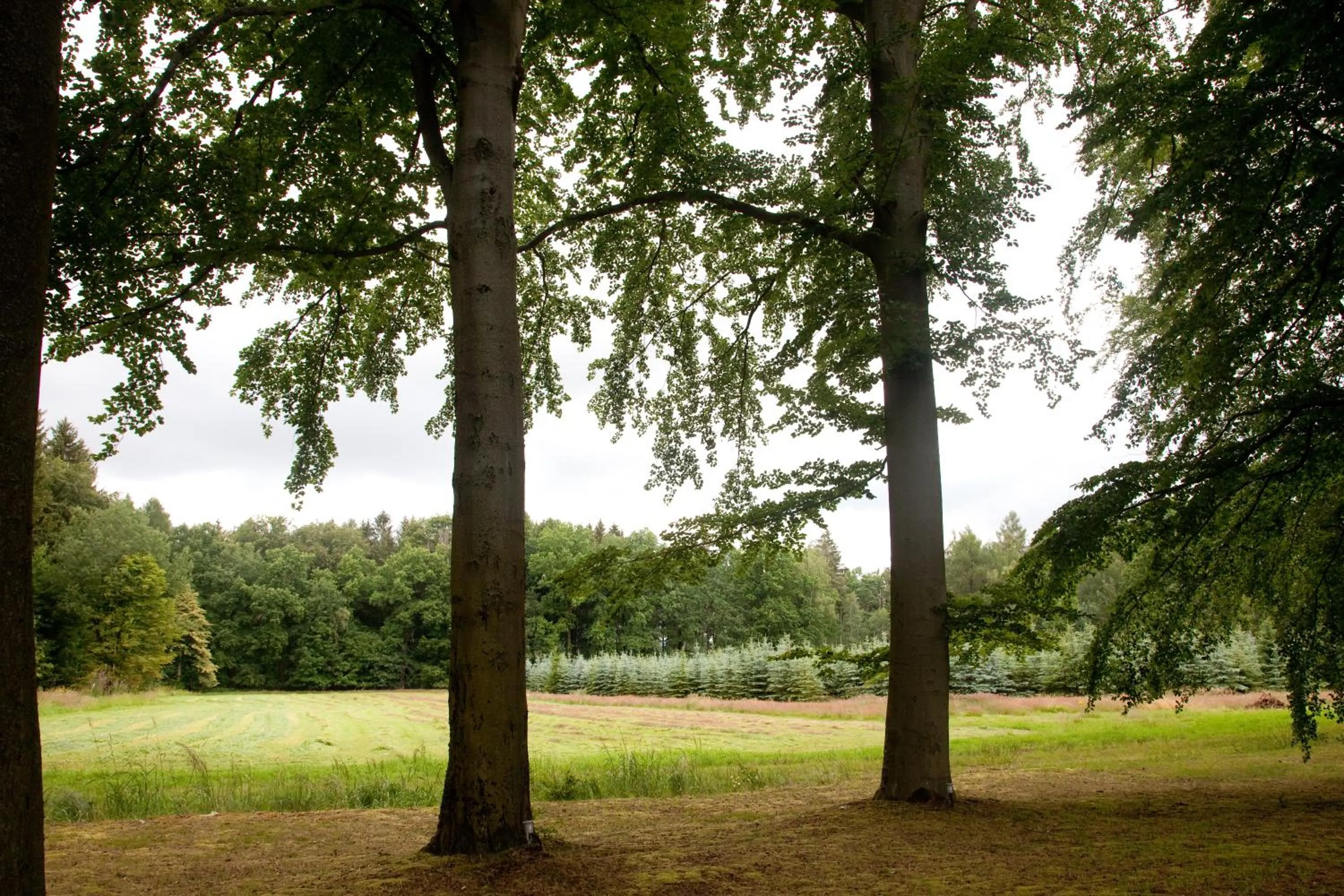 Garden in Lohwald-Appartment
