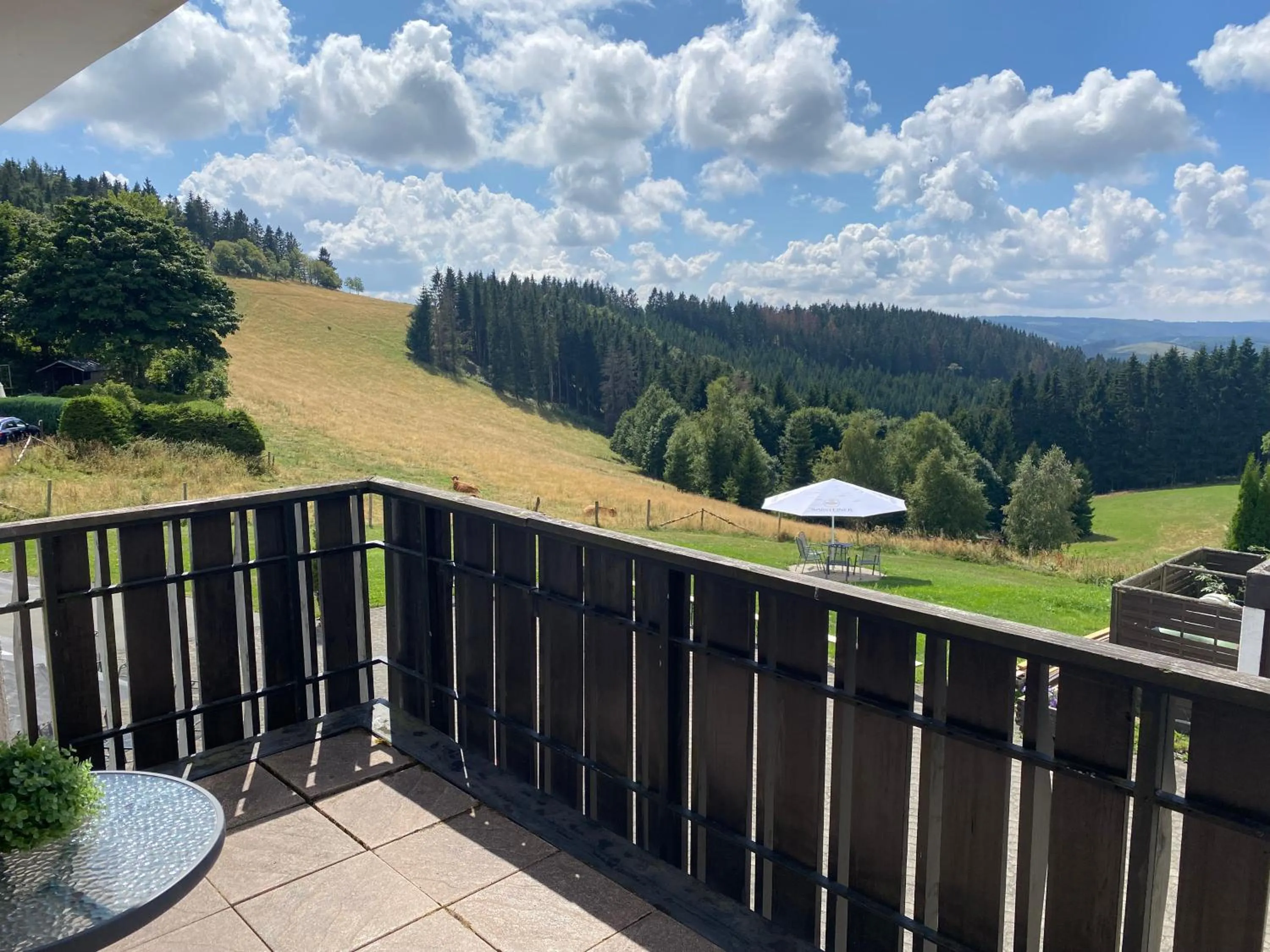 View (from property/room) in Berghotel Lenneplätze Winterberg