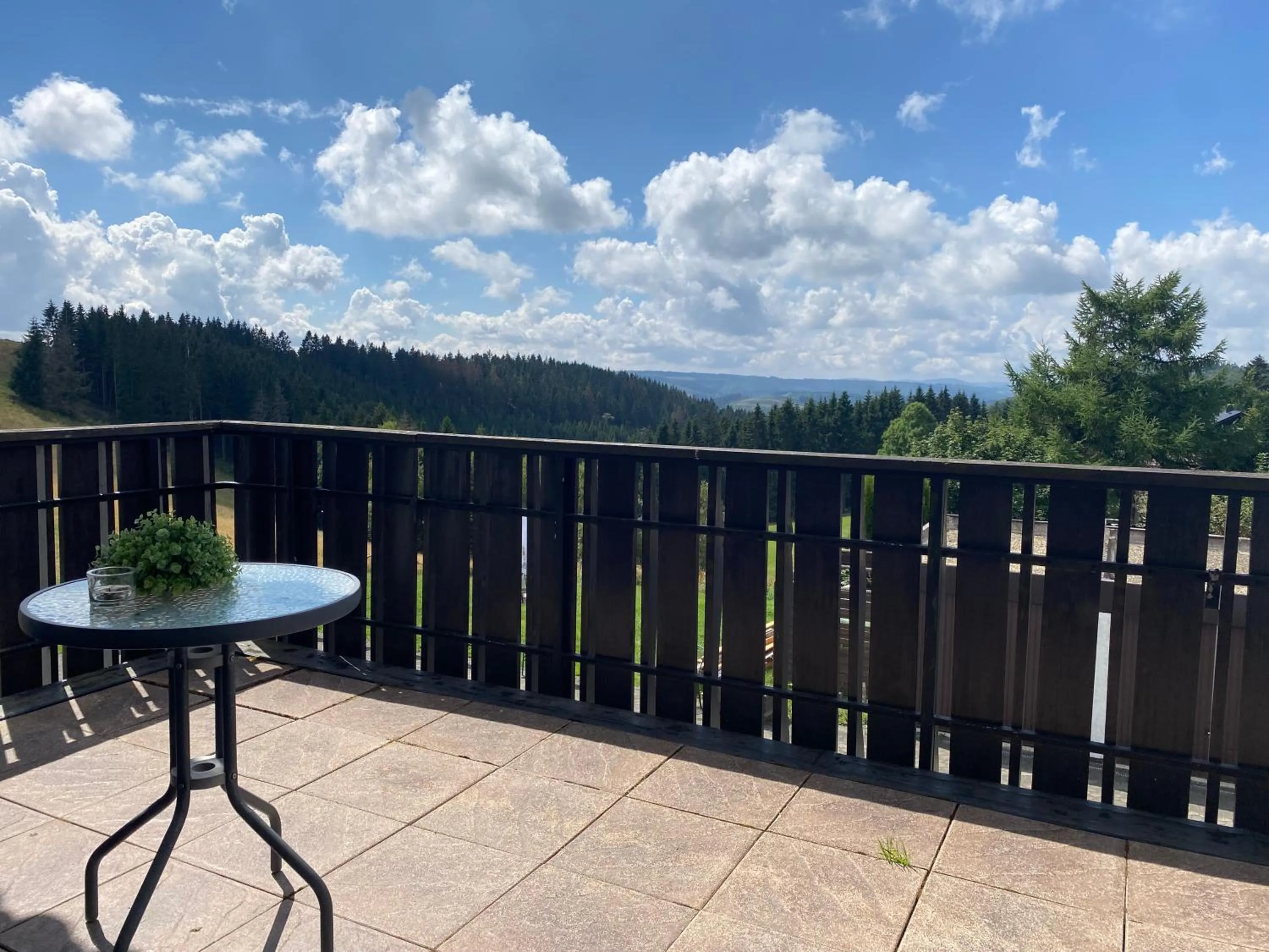 Balcony/Terrace in Berghotel Lenneplätze Winterberg