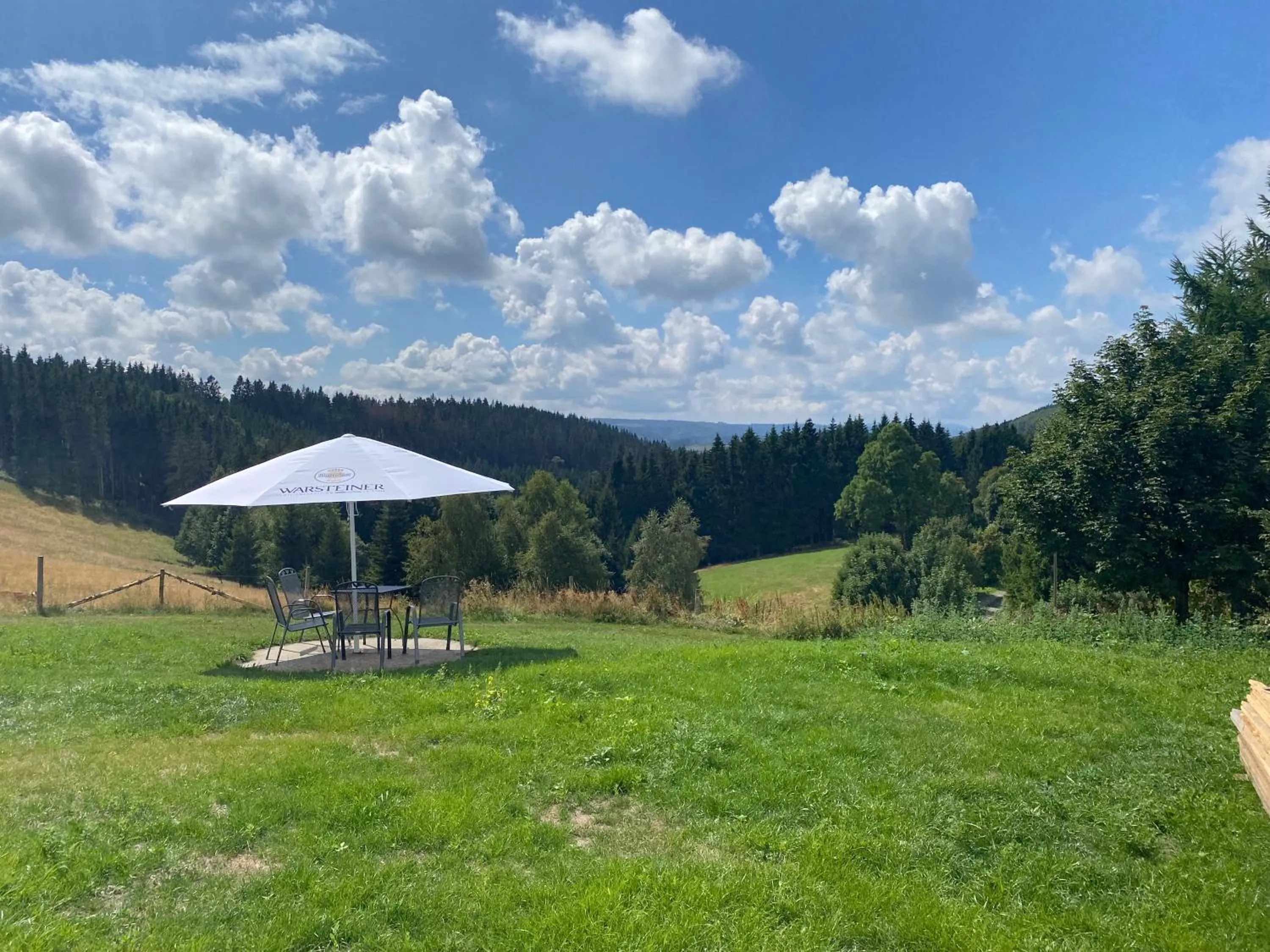 View (from property/room) in Berghotel Lenneplätze Winterberg