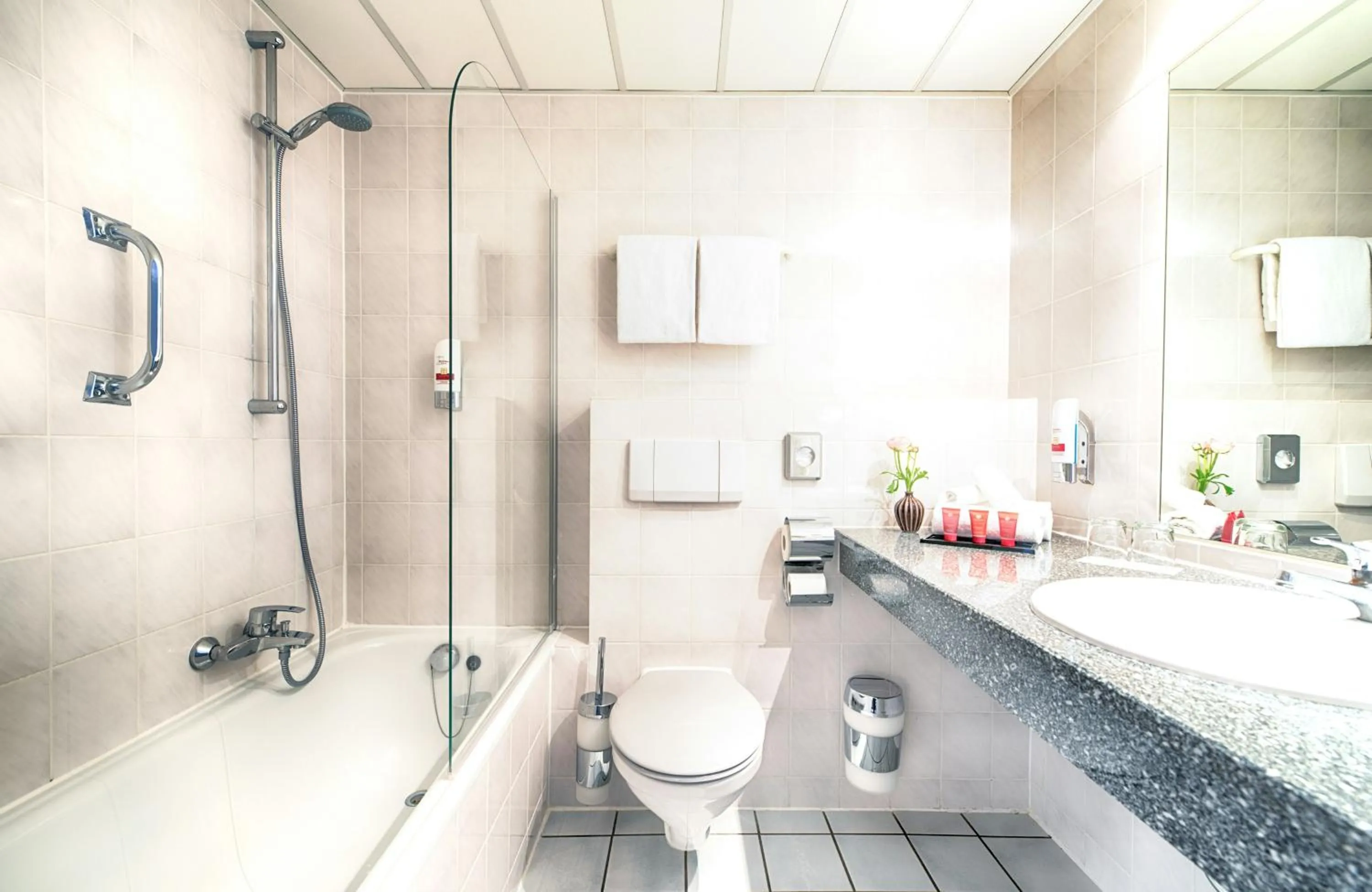 Bathroom in Leonardo Hotel Mannheim-Ladenburg