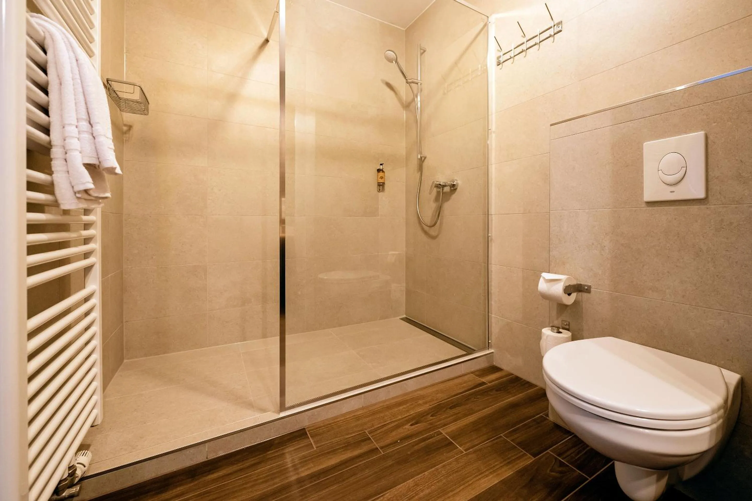 Shower in Apparthotel Bad Schandau by STEIGER Hotels