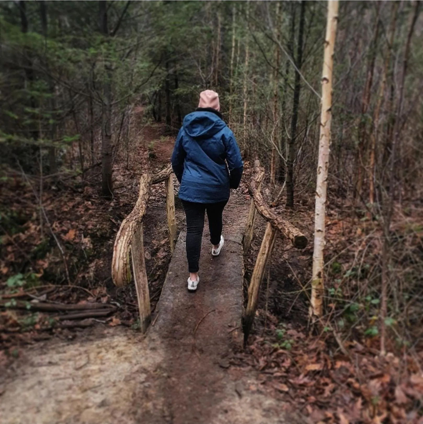 Natural landscape in B&B El Bayo