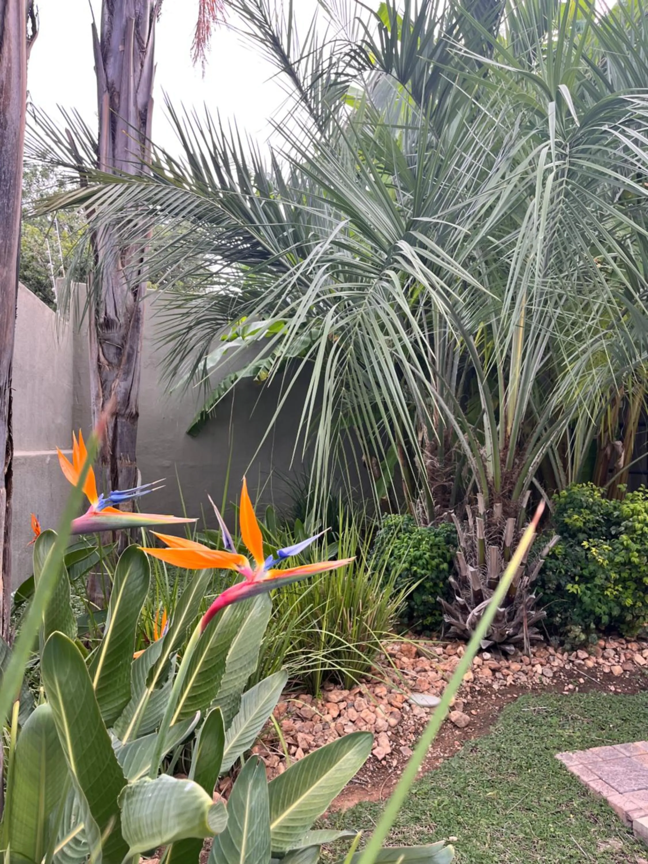 Garden in Hillside Accommodation