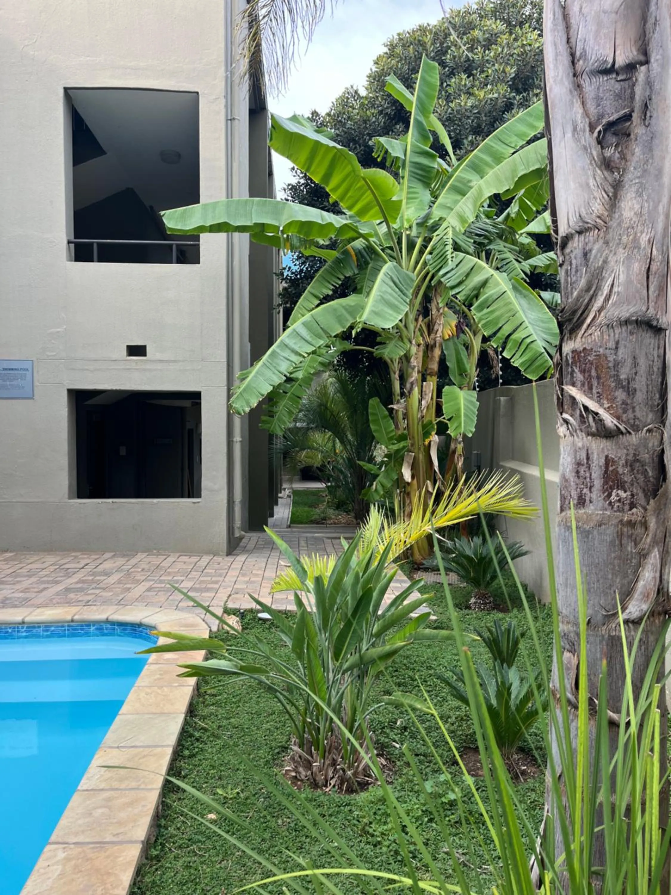 Swimming pool in Hillside Accommodation