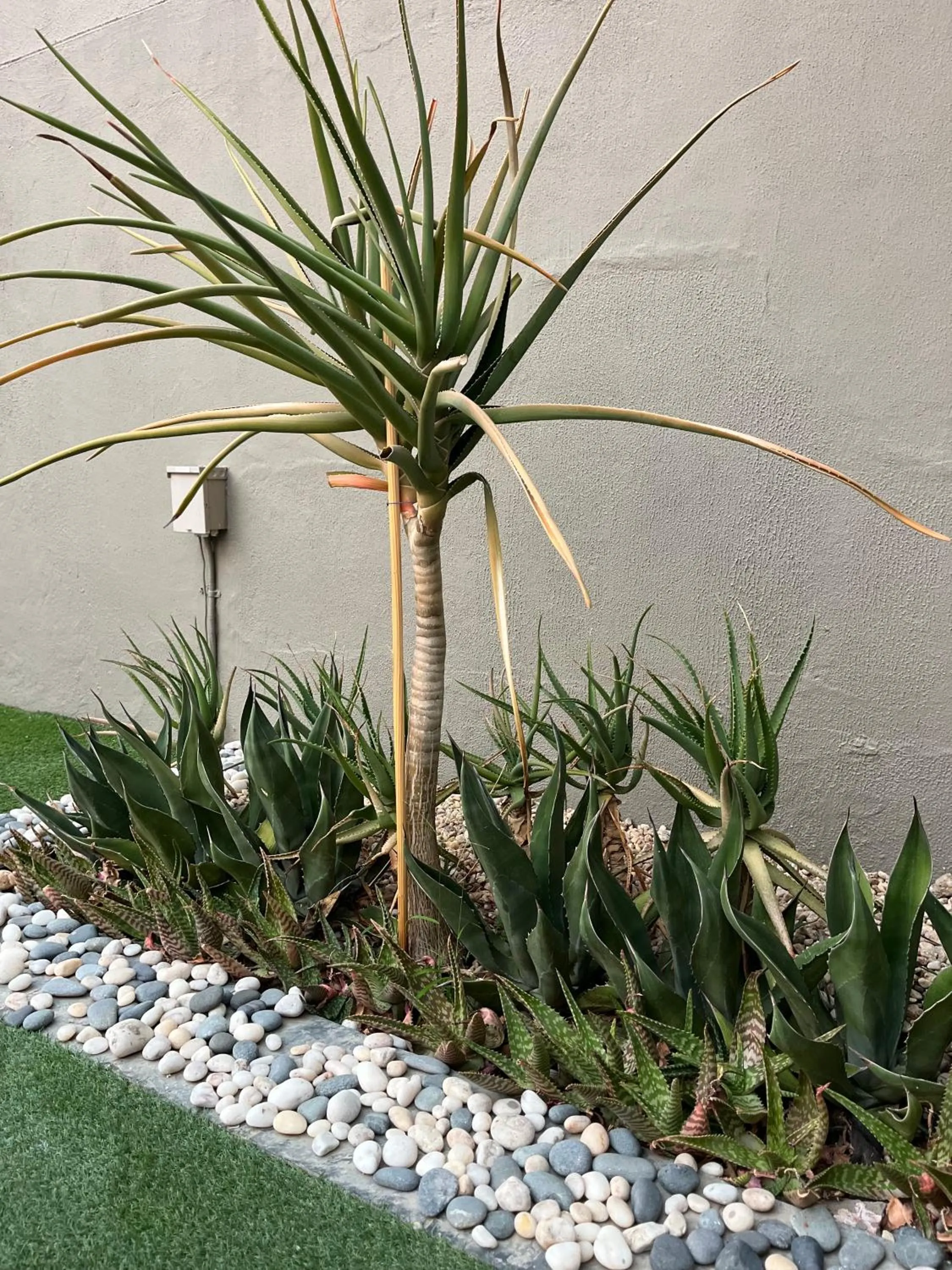 Garden in Hillside Accommodation