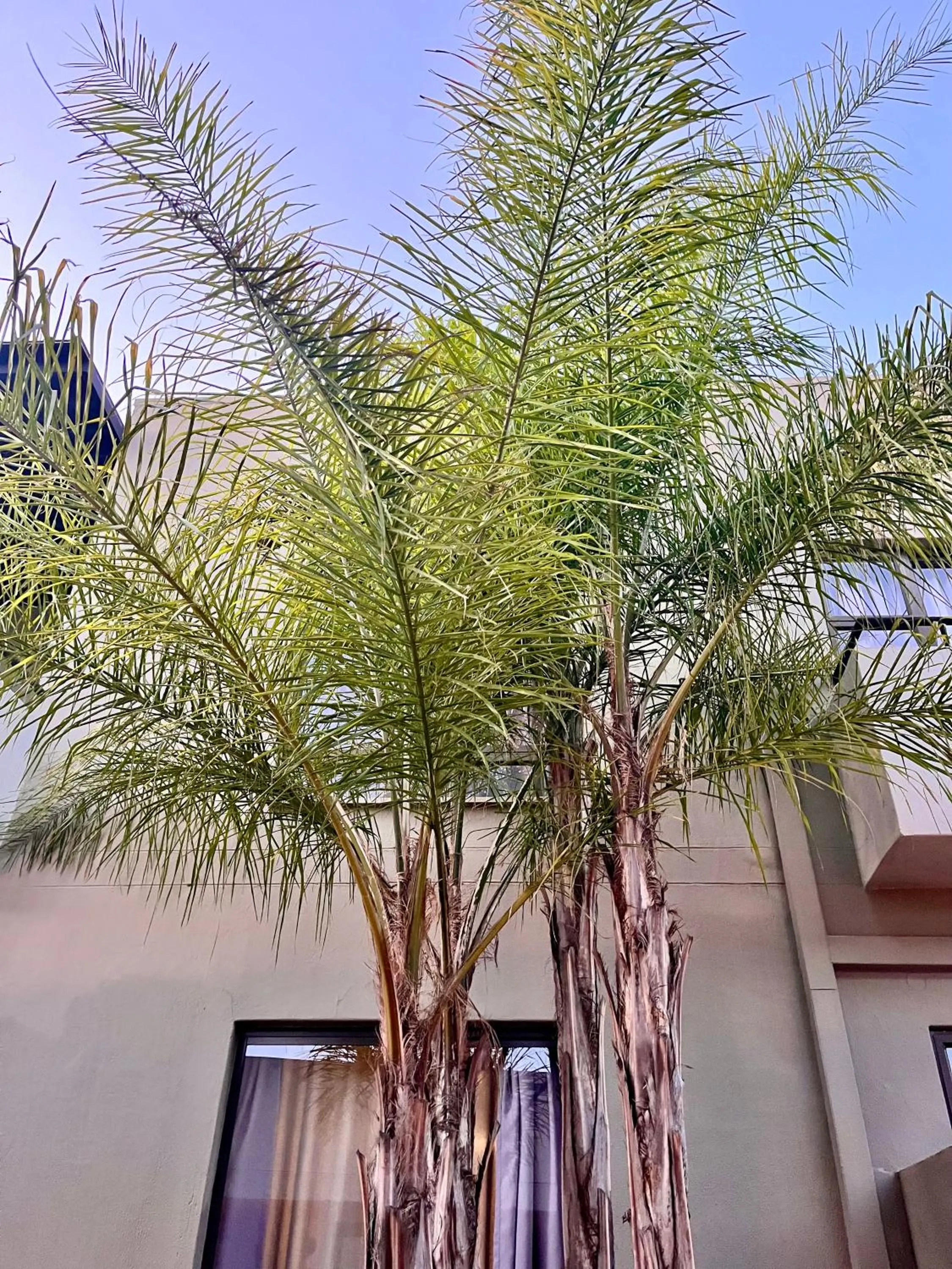 Spring in Hillside Accommodation