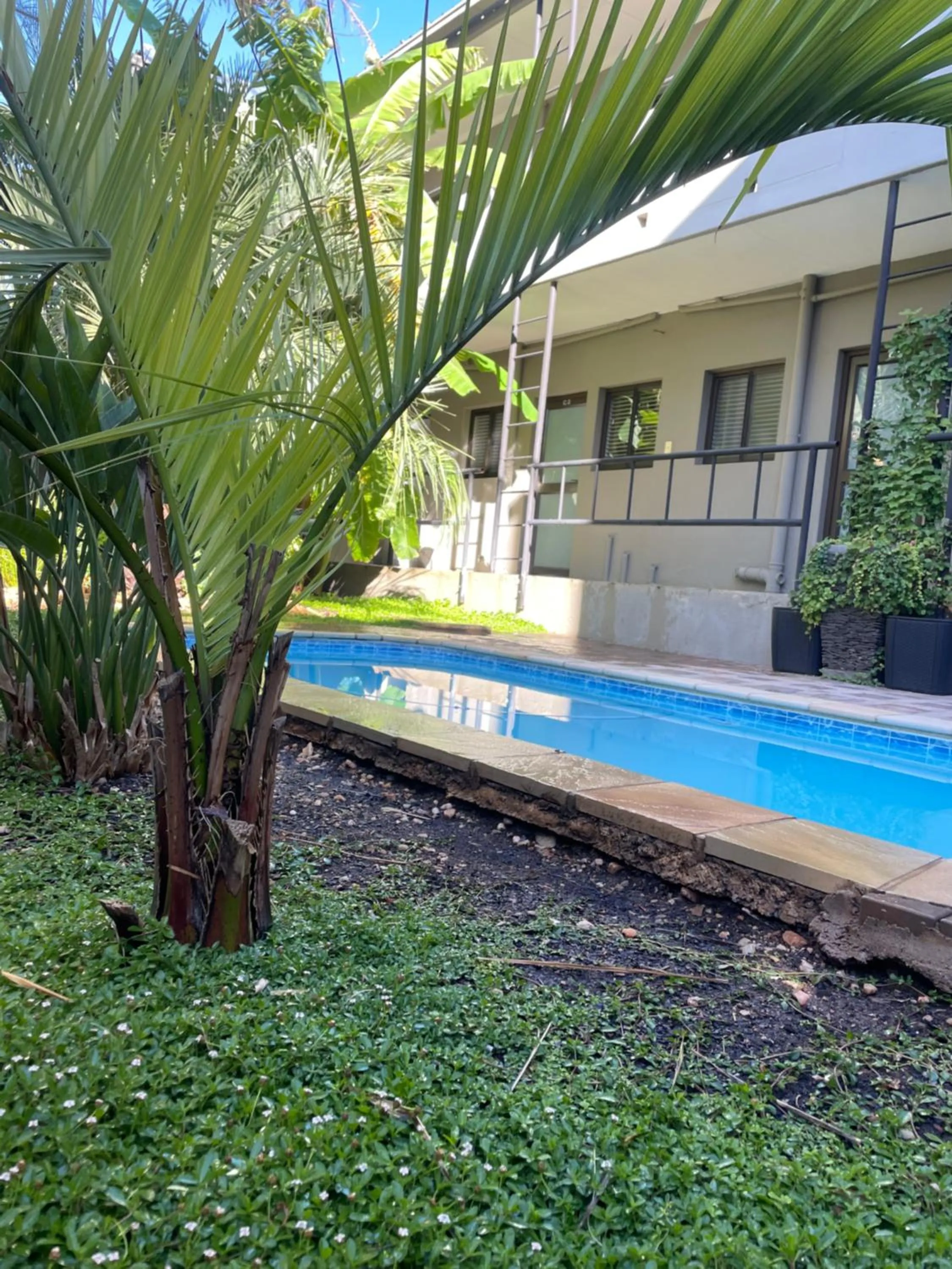 Garden view in Hillside Accommodation