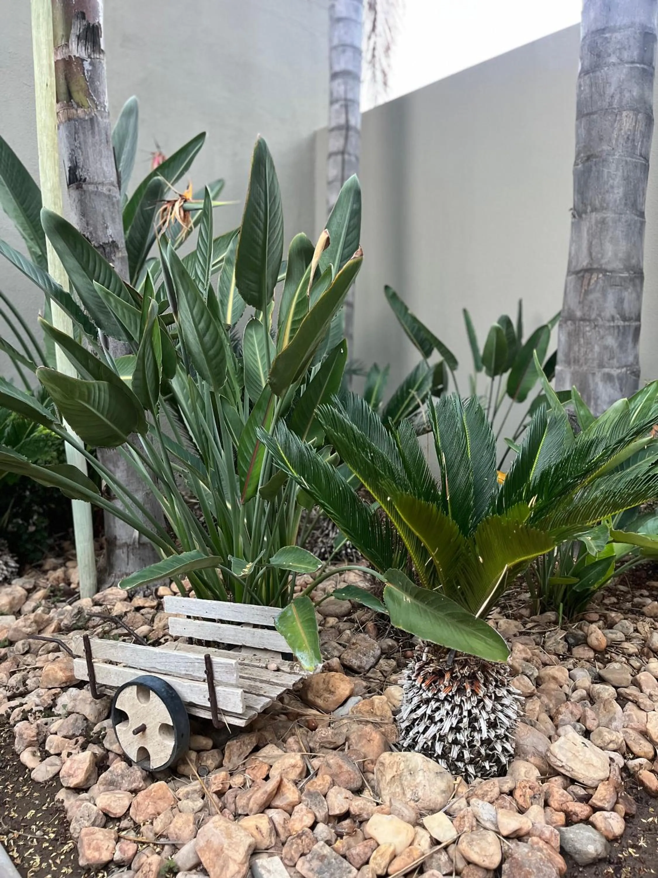 Garden in Hillside Accommodation