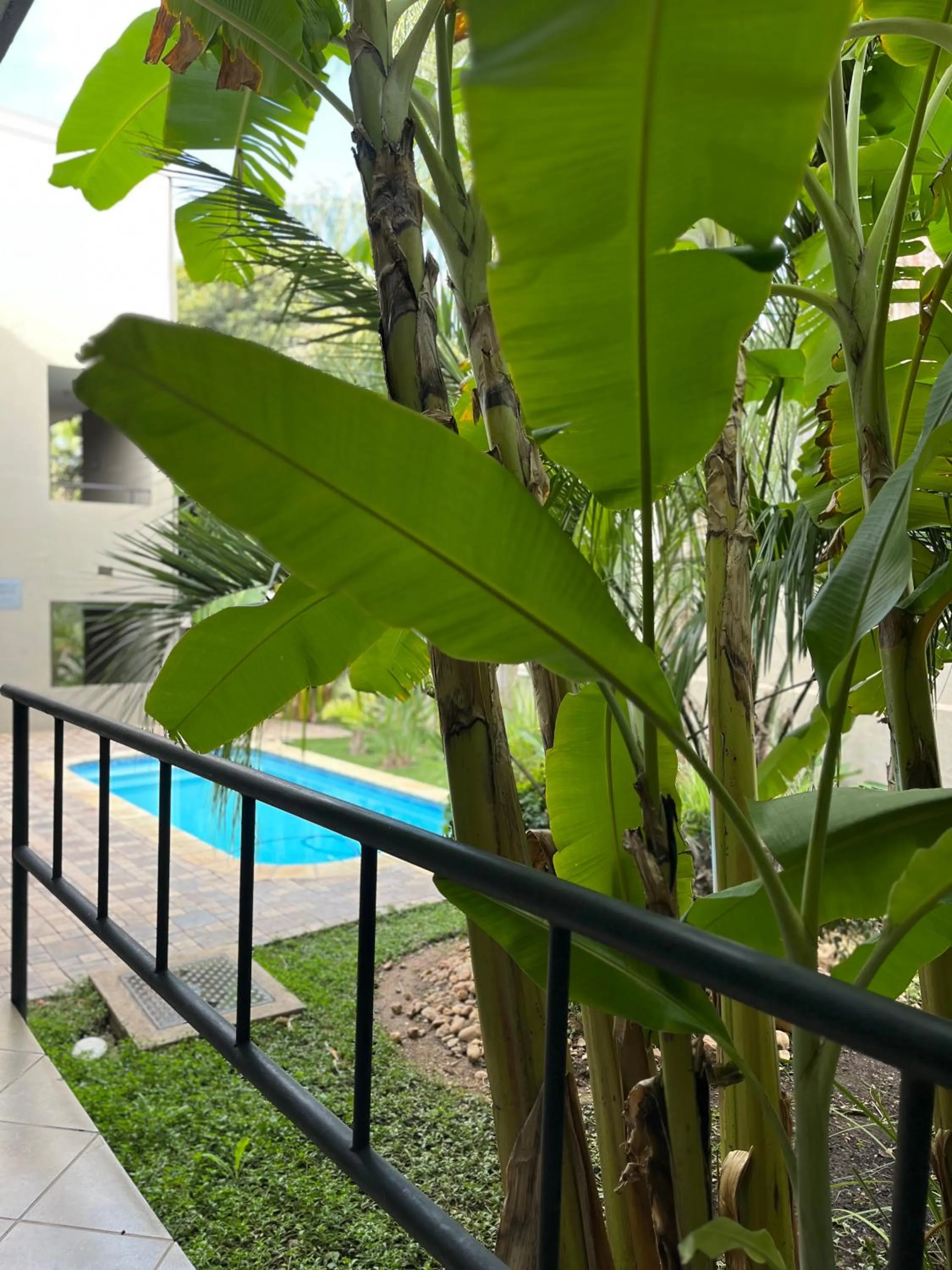 Garden view in Hillside Accommodation