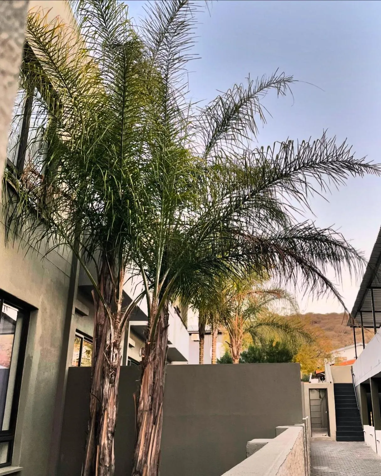 Day in Hillside Accommodation