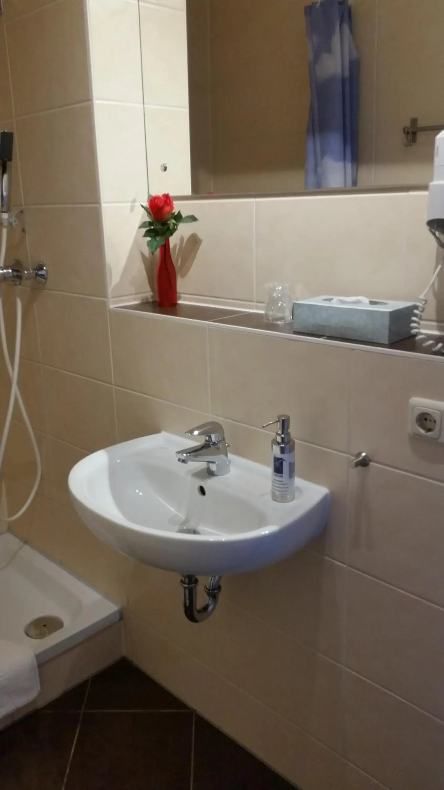 Single Room with Shower/Toilet - single occupancy in Hotel-Pension Grüne Linde Single Room with Shower/Toilet - single occupancy in Hotel-Pension Grüne Linde