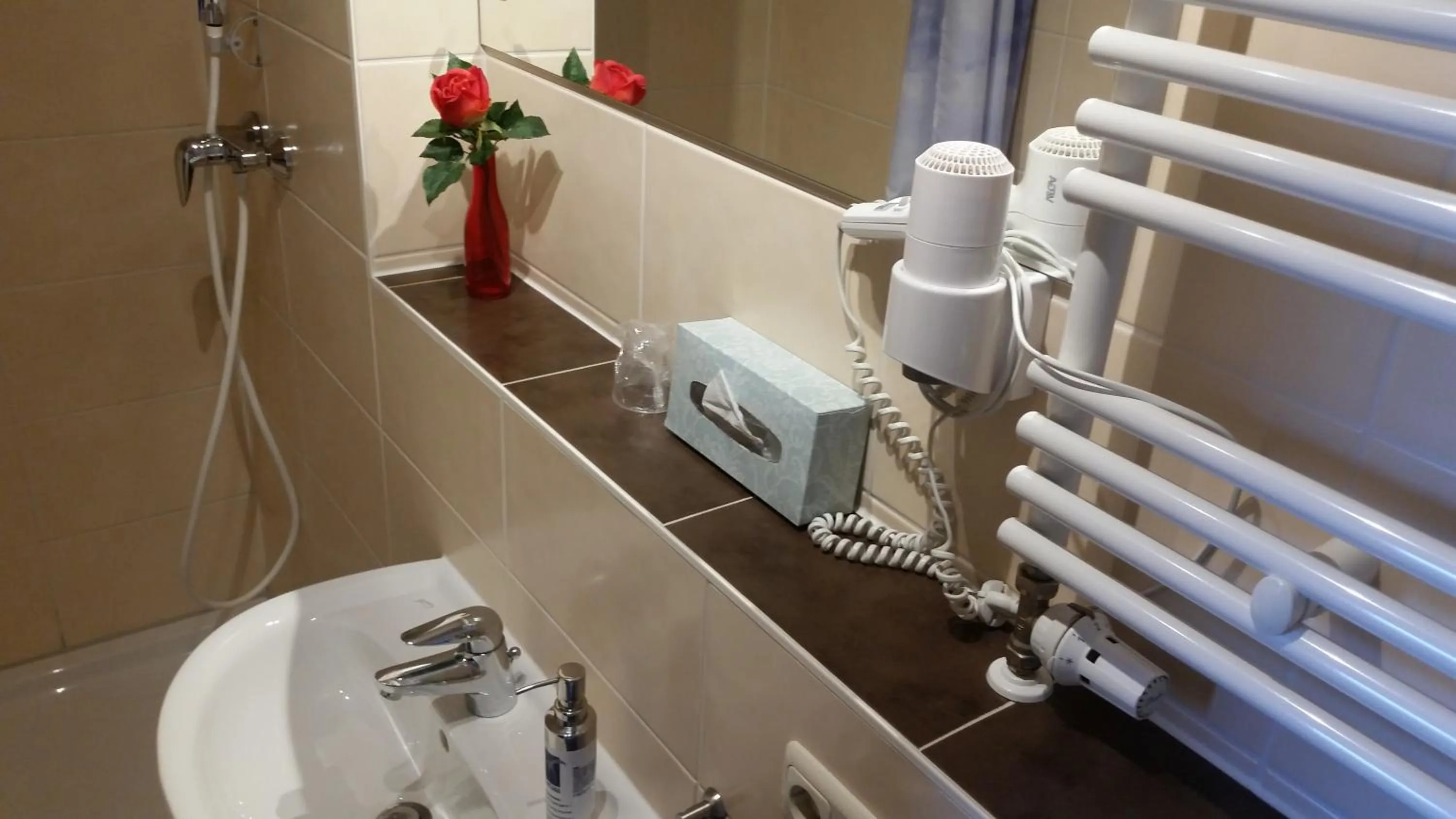 Other in Hotel-Pension Grüne Linde