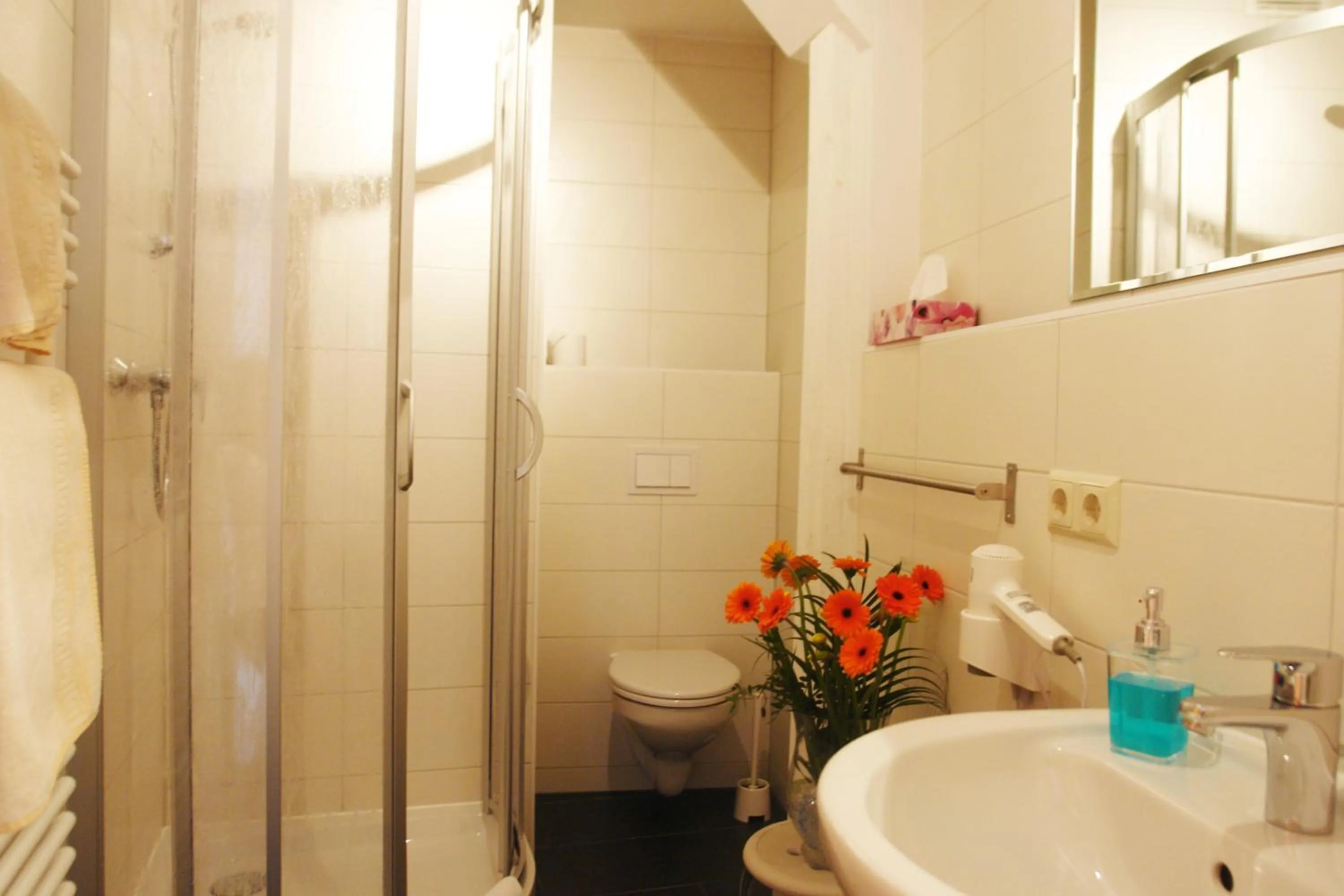 Other in Hotel-Pension Grüne Linde