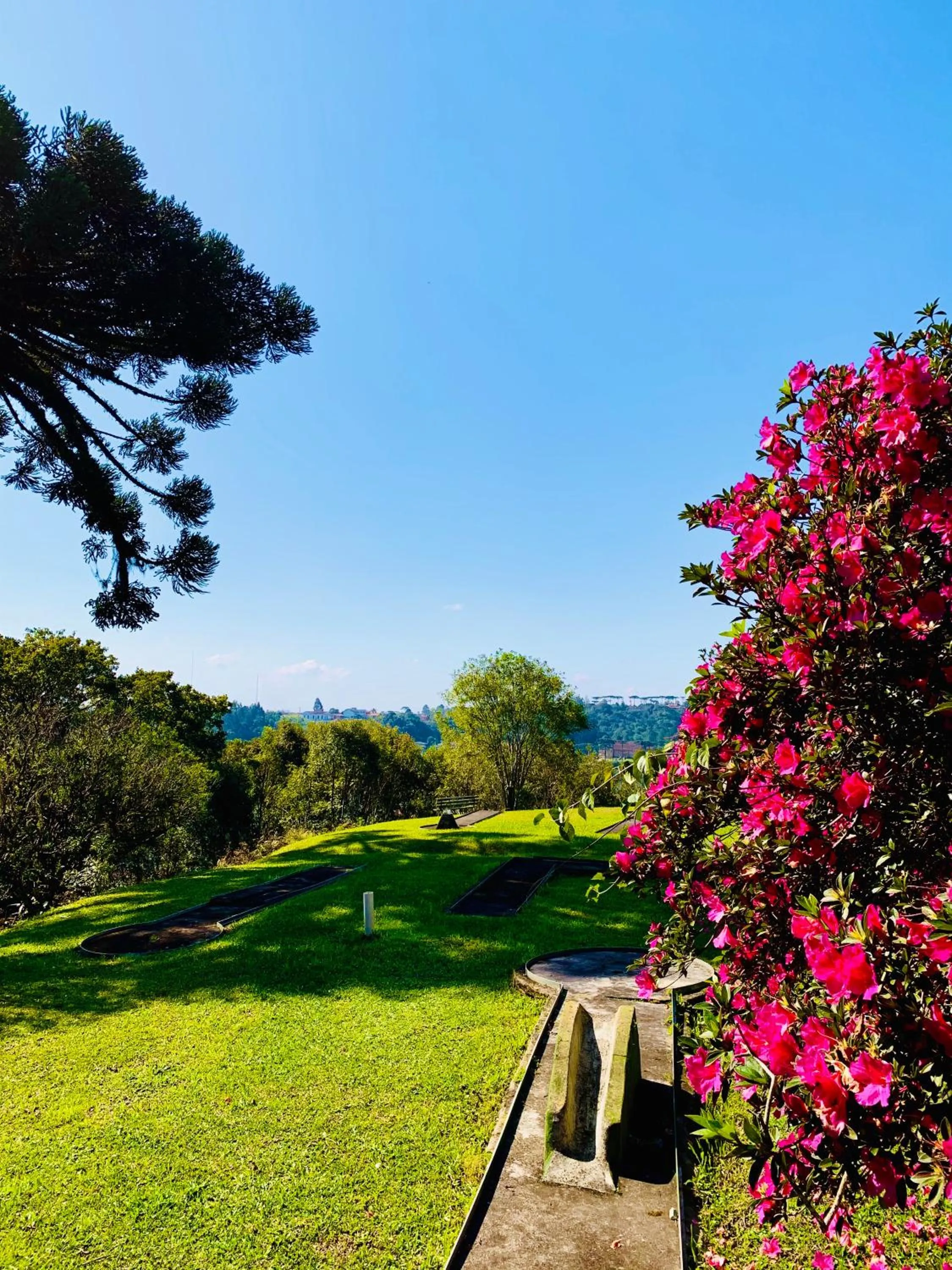 Garden in Hotel Pousada Joao de Barro