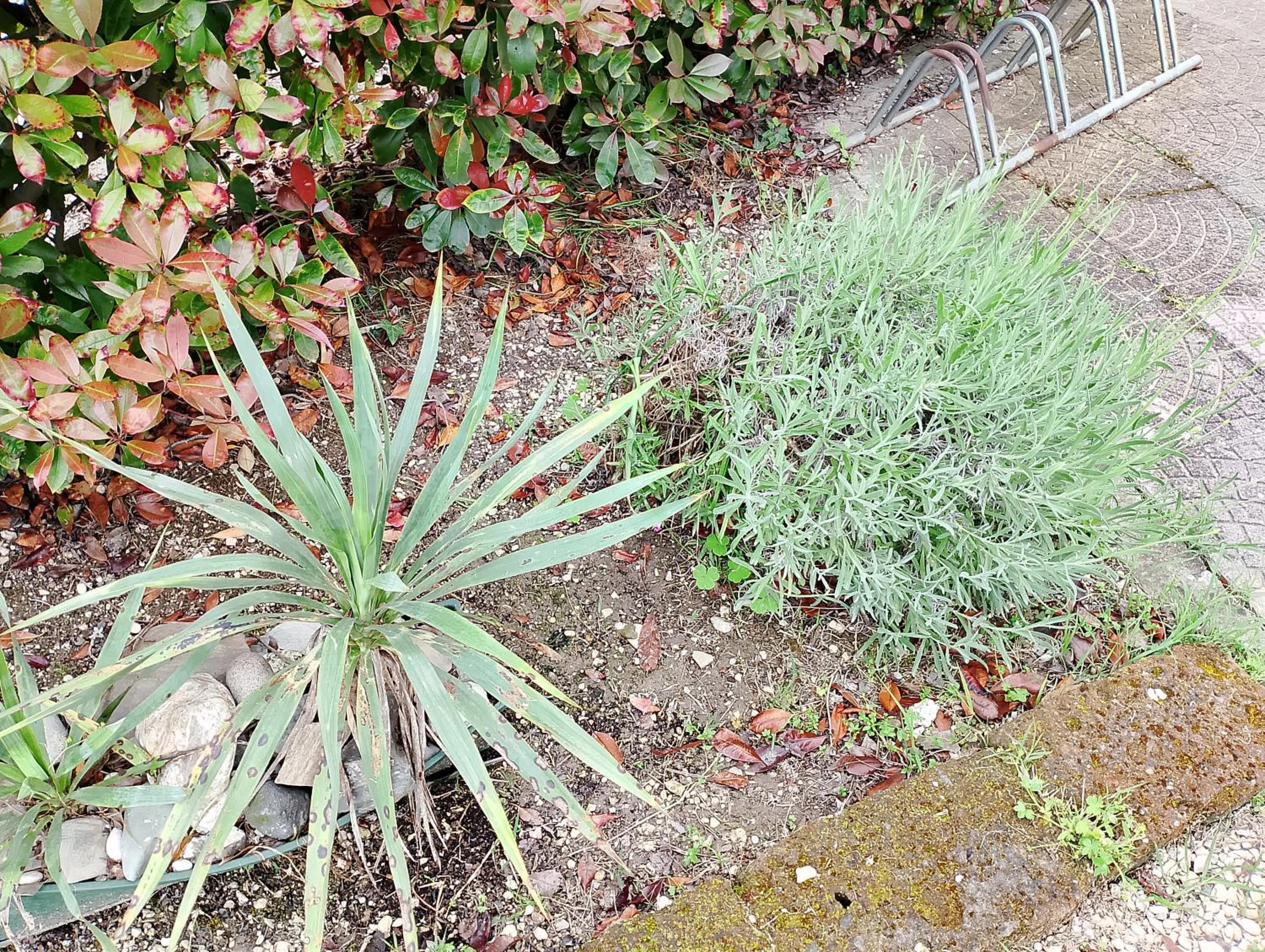 Alloggi Adamo Venice