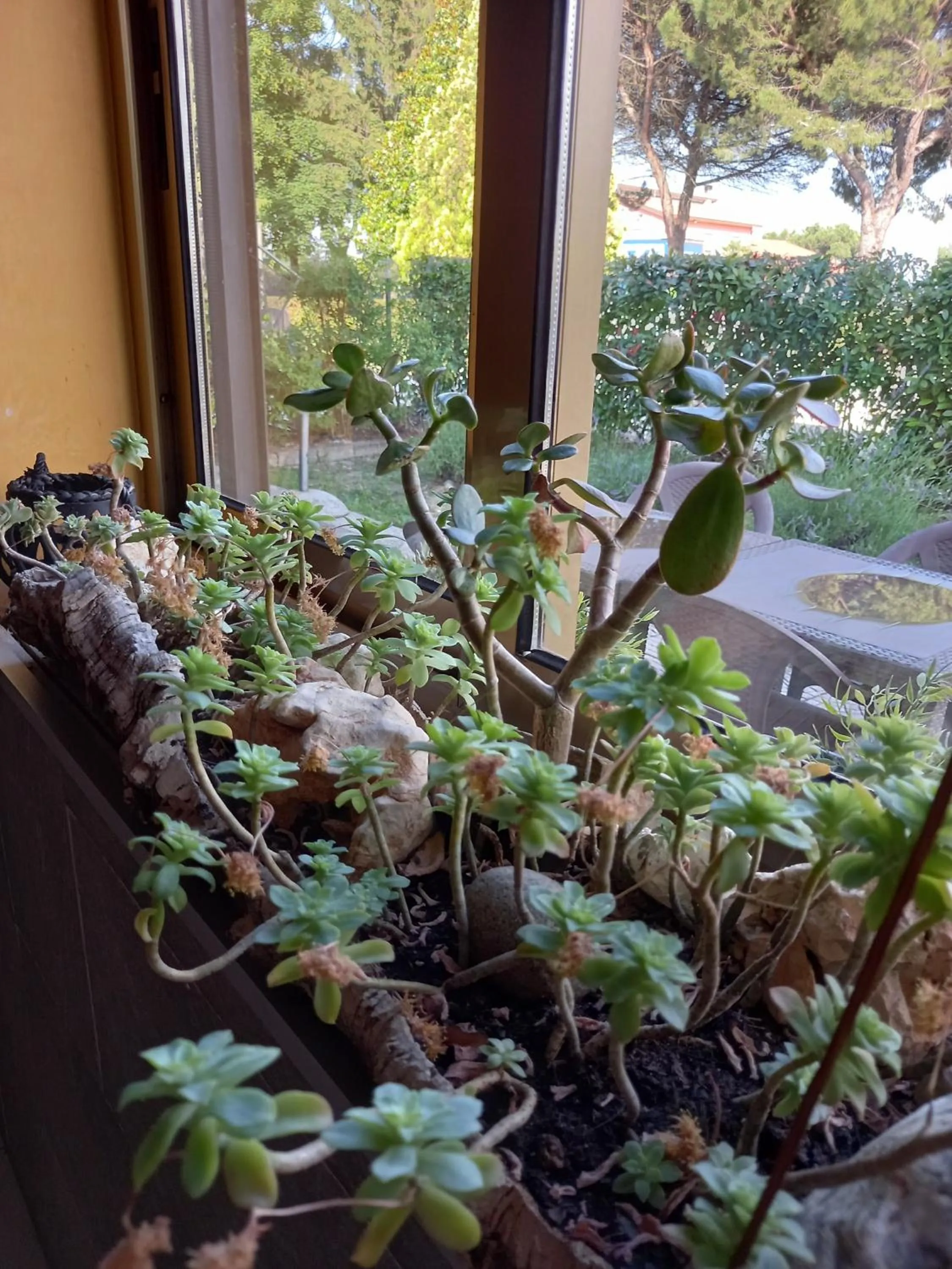 Lobby or reception in Alloggi Adamo Venice