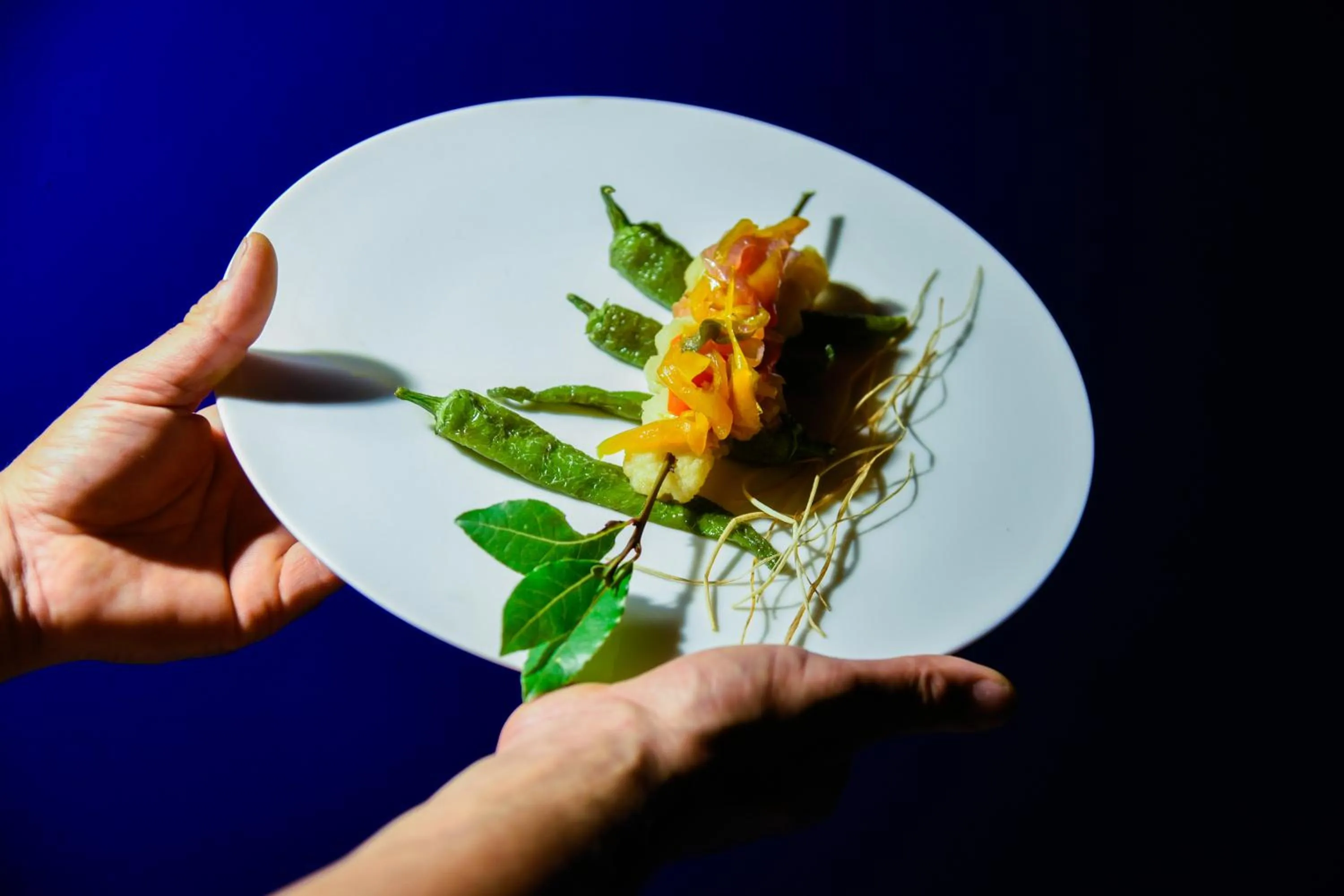 Restaurant/places to eat in La Restuccia Masseria Urban - DiscoHotel