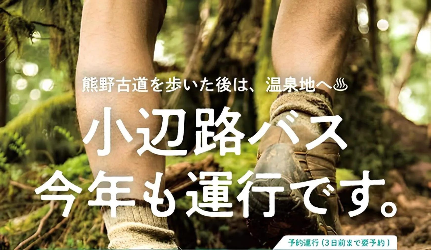 Minshuku Kawarabi-so