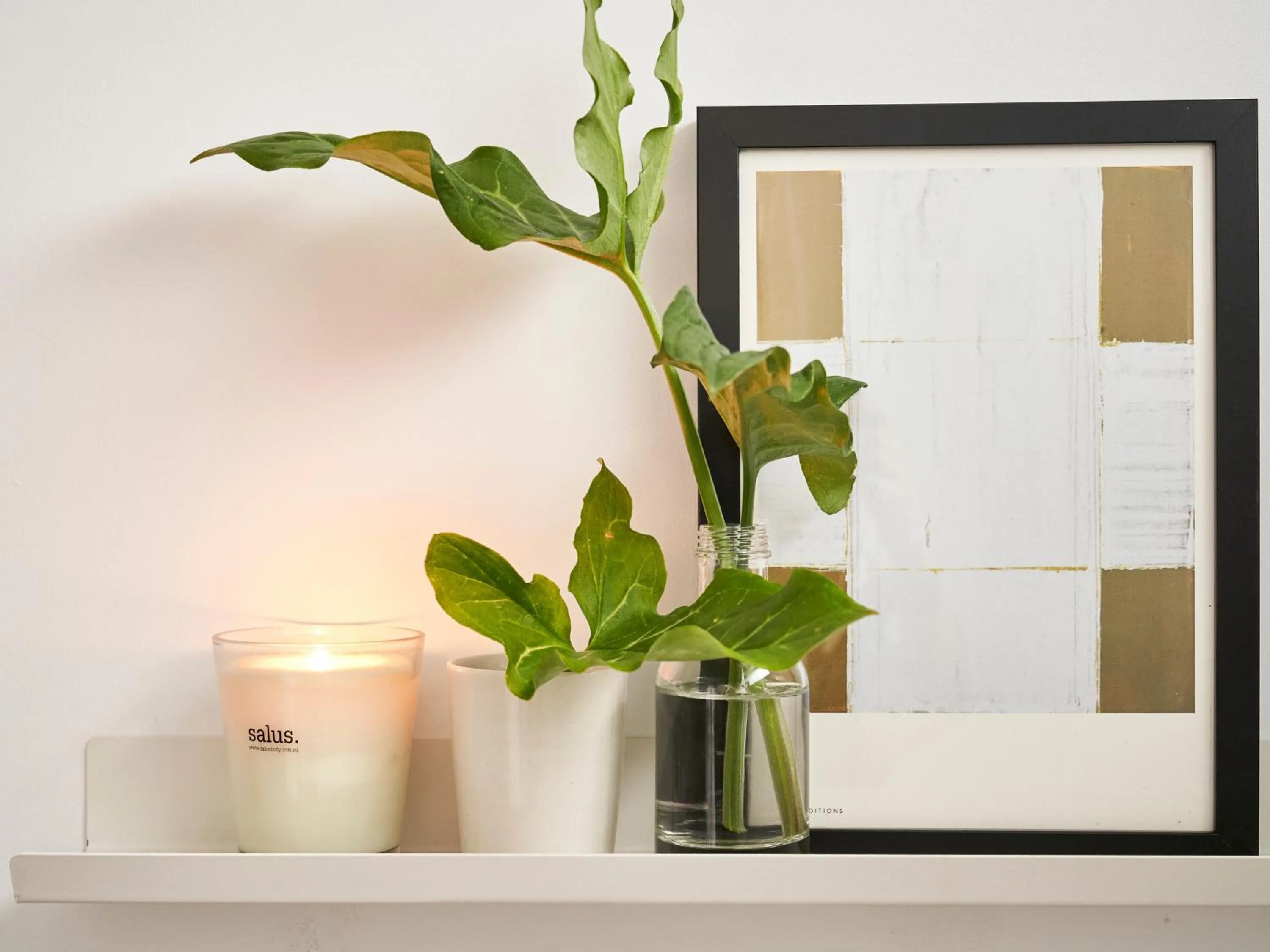 Decorative detail in Peterborough House