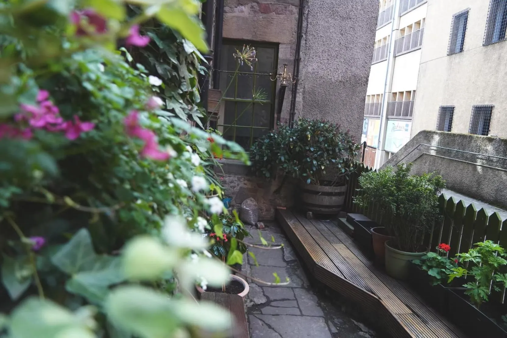 High Street Hostel - Over 18s Only, Backpackers Atmosphere