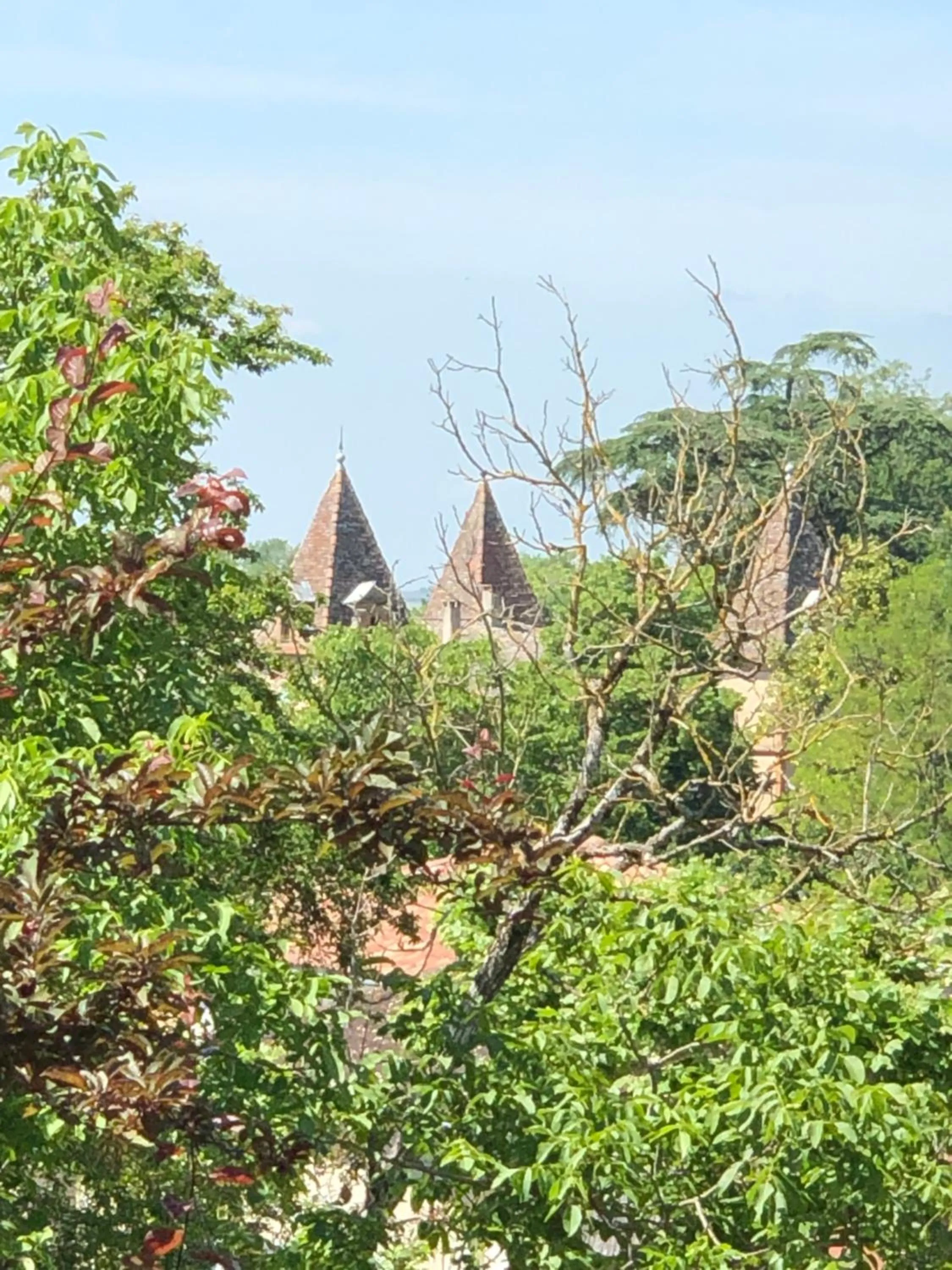 View (from property/room) in B&B du Couvent, vue château