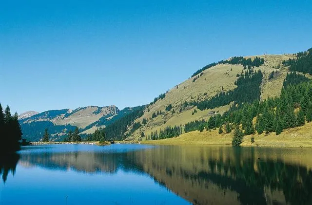 Les 4 Elements - Apt D104 - BO Immobilier- Châtel - Multipass 2025 offert