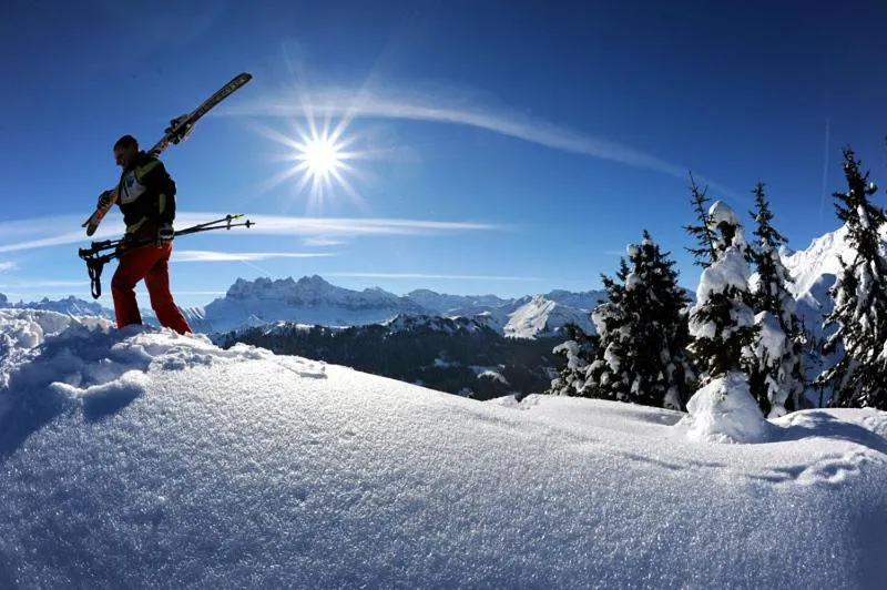 Les 4 Elements - Apt D104 - BO Immobilier- Châtel - Multipass 2025 offert