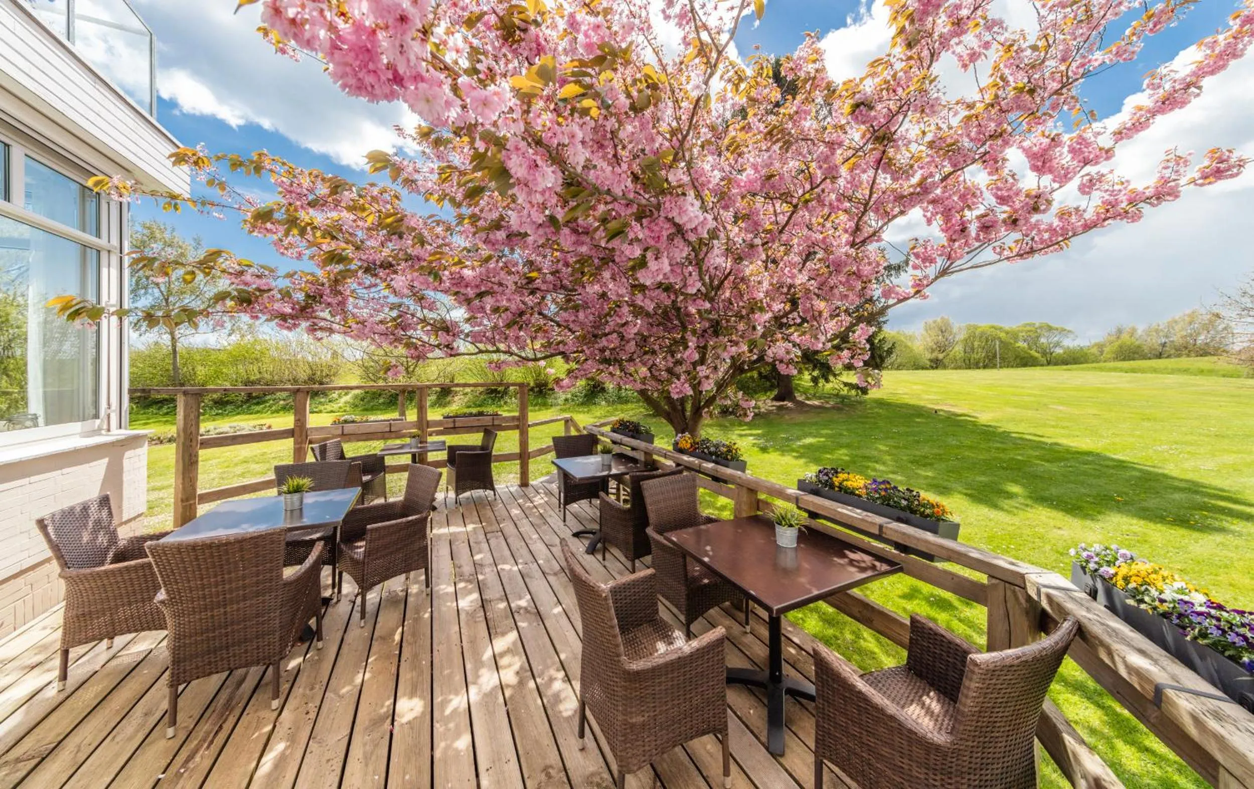 Restaurant/places to eat in HofHotel Krähenberg