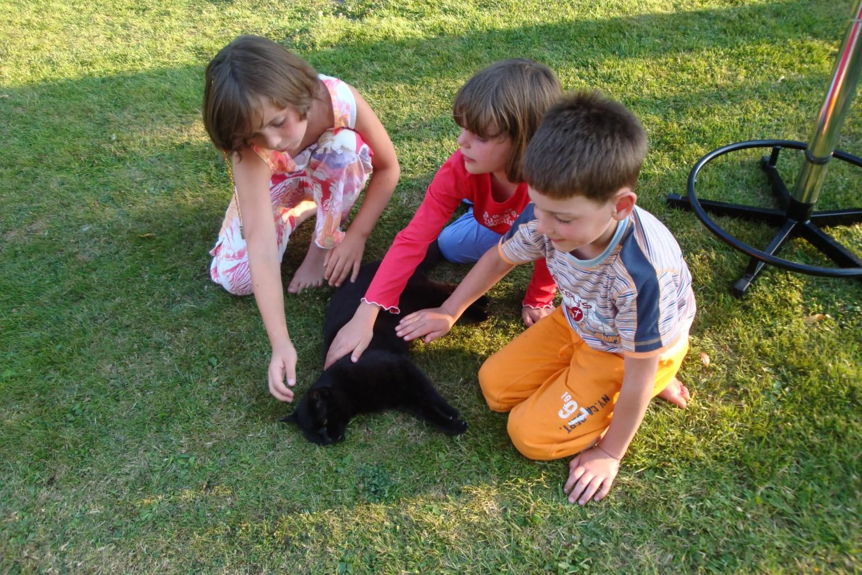 Pets in HofHotel Krähenberg