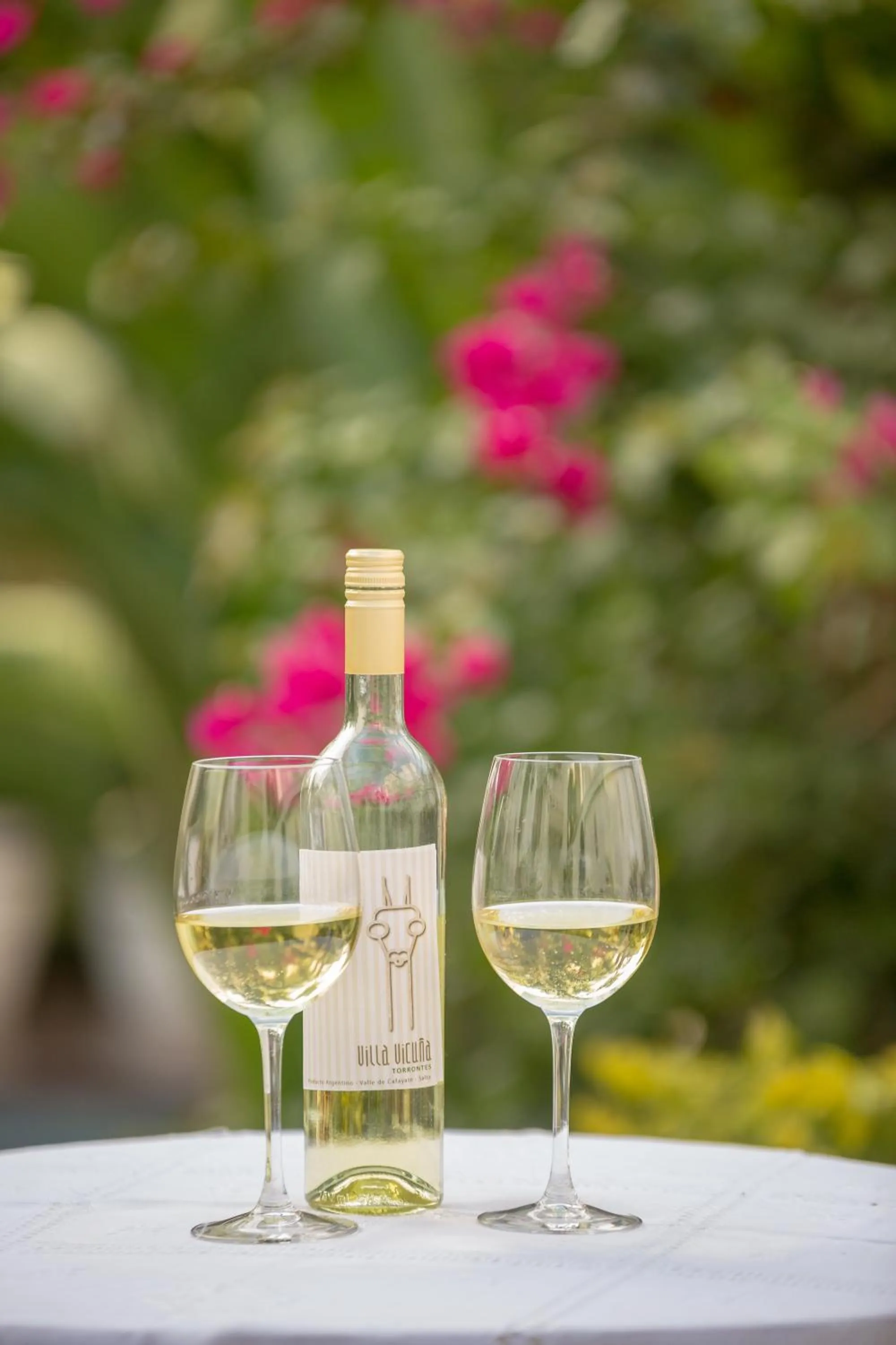 Alcoholic drinks in Villa Vicuña Salta Hotel Boutique