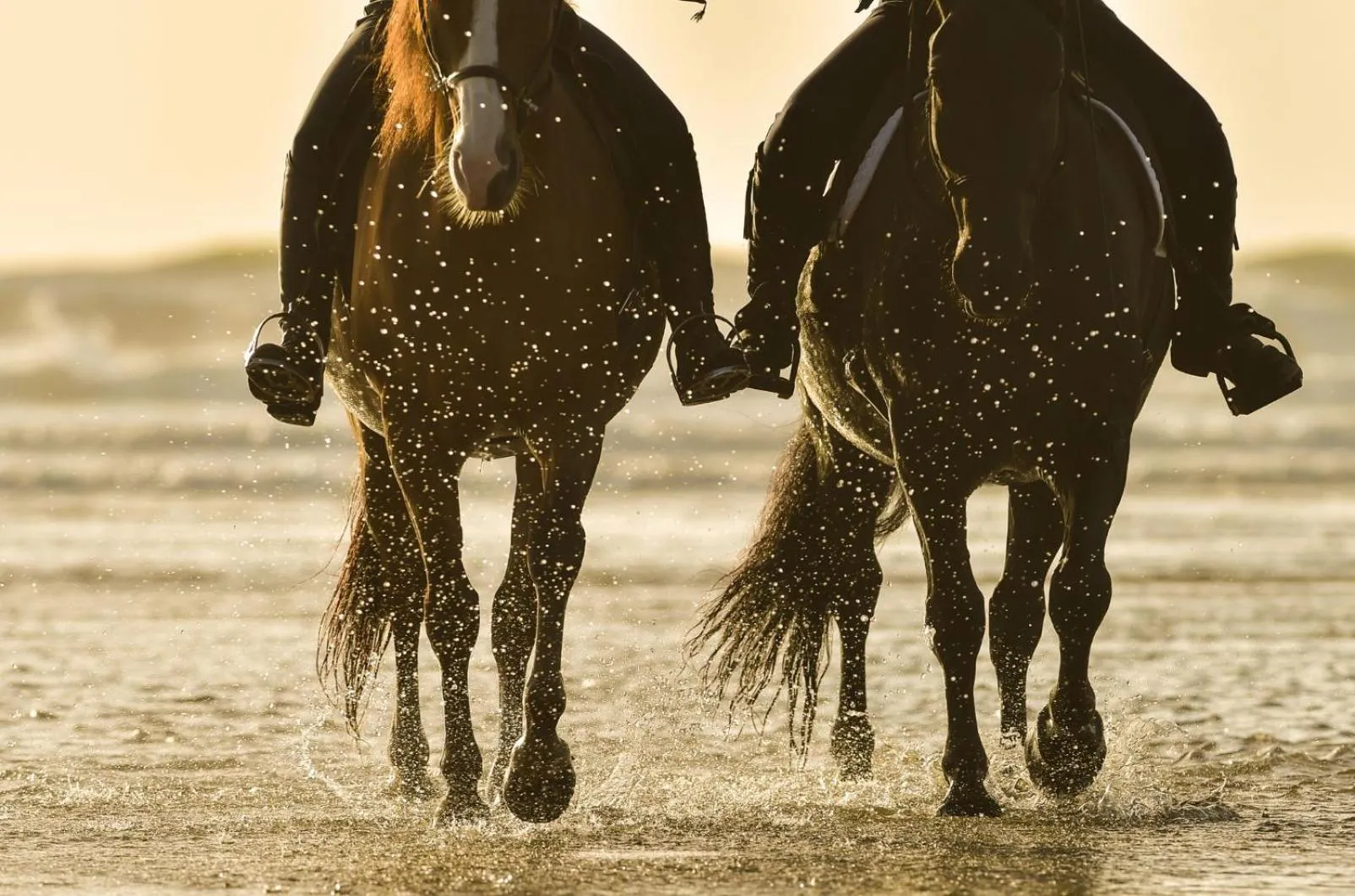 Nearby landmark in White Cocoon Exclusive villas