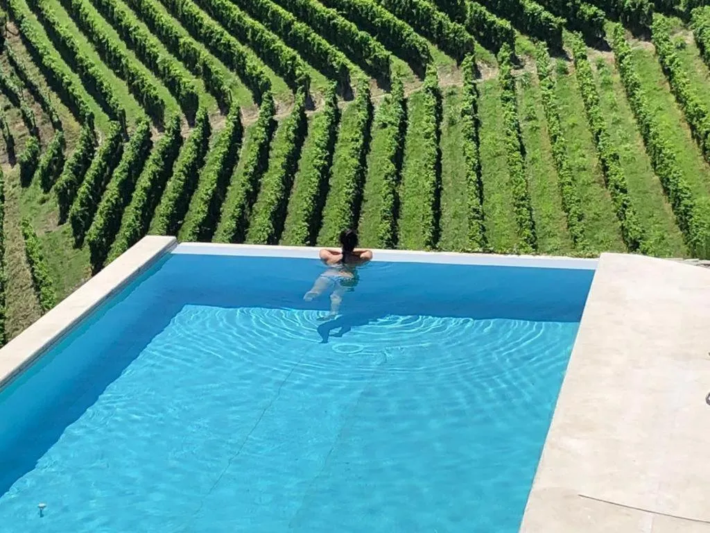 Pool view in B&B Bionzo16