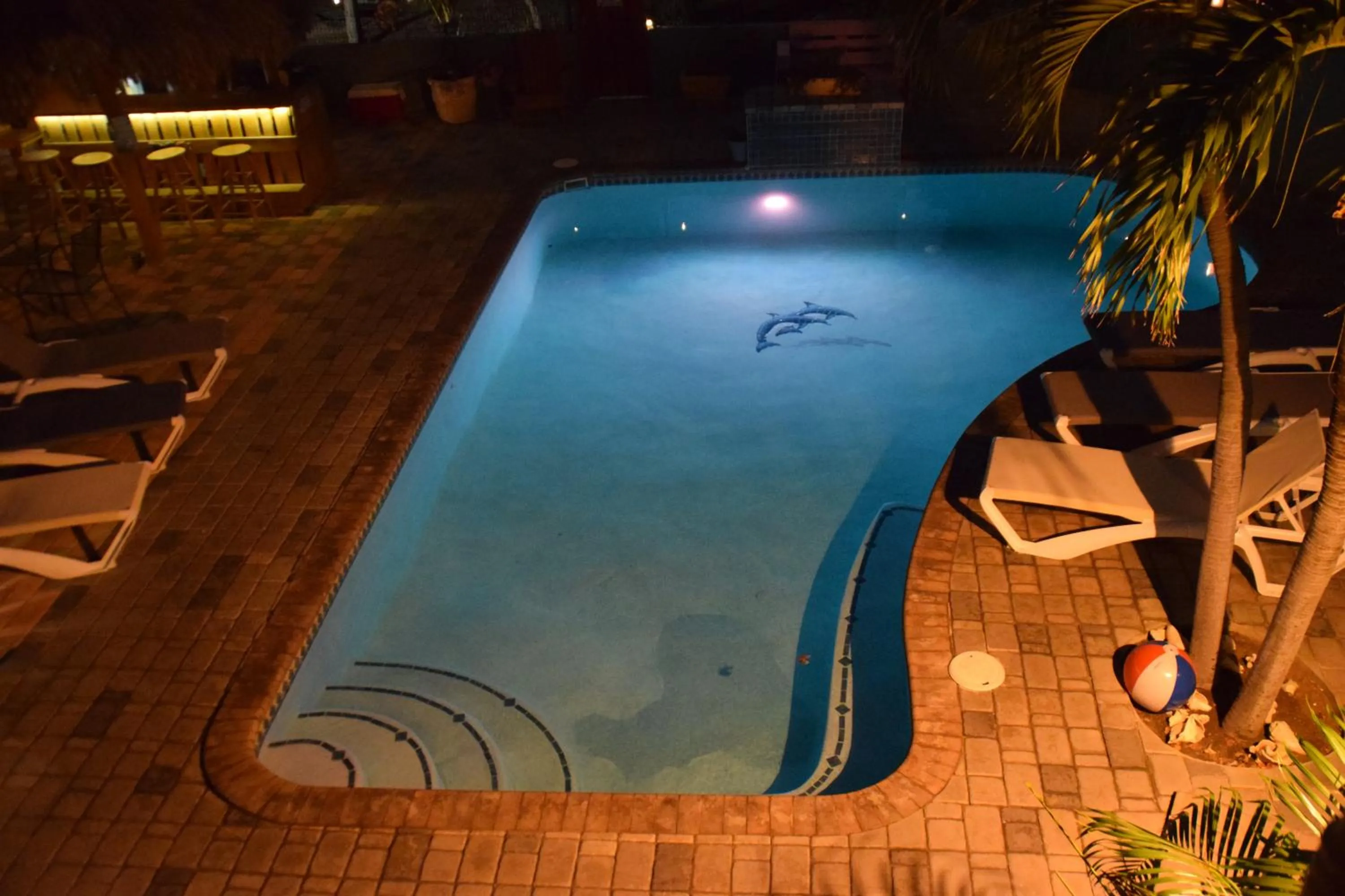 Night in La Felicidad Aruba