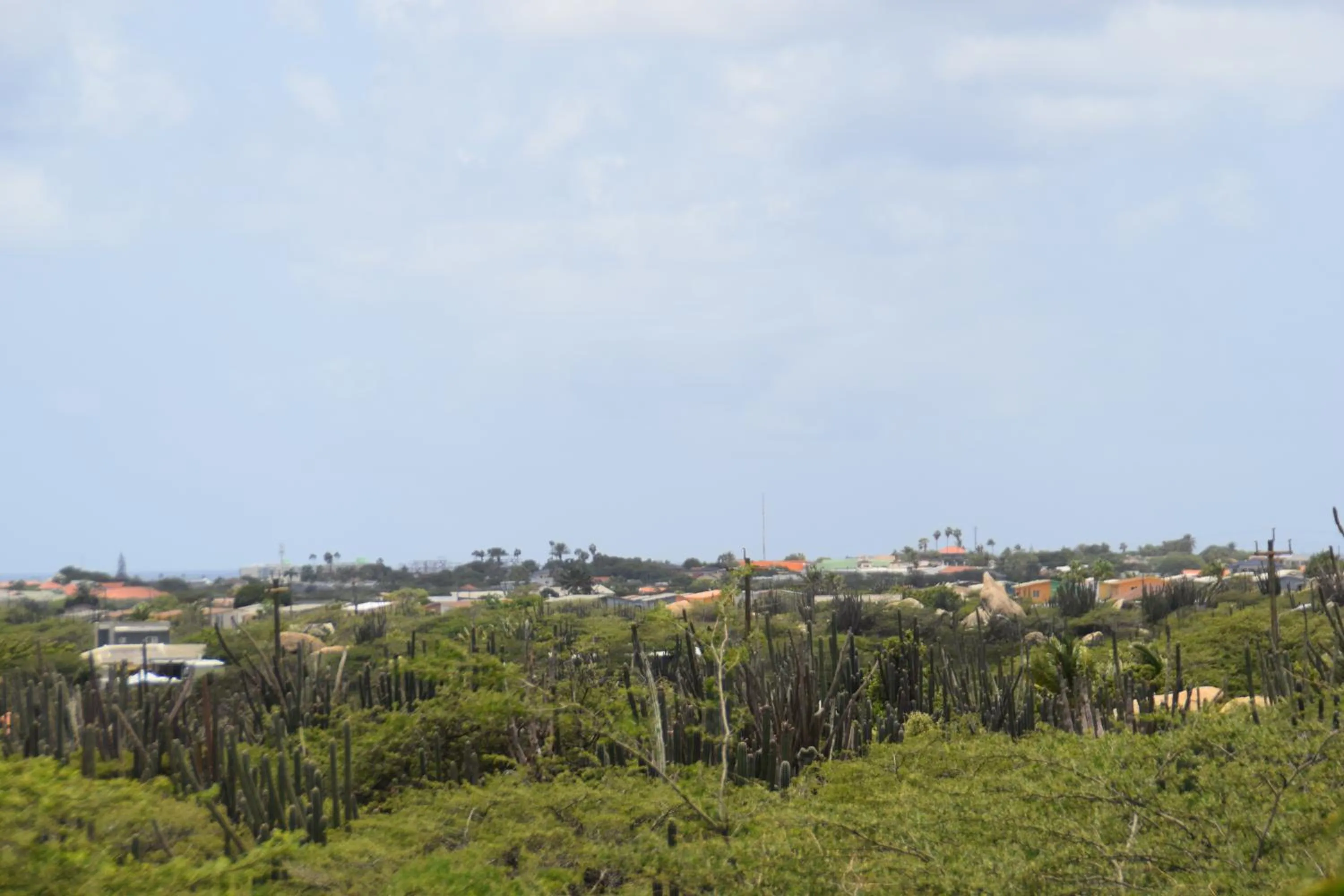 Natural landscape in La Felicidad Aruba